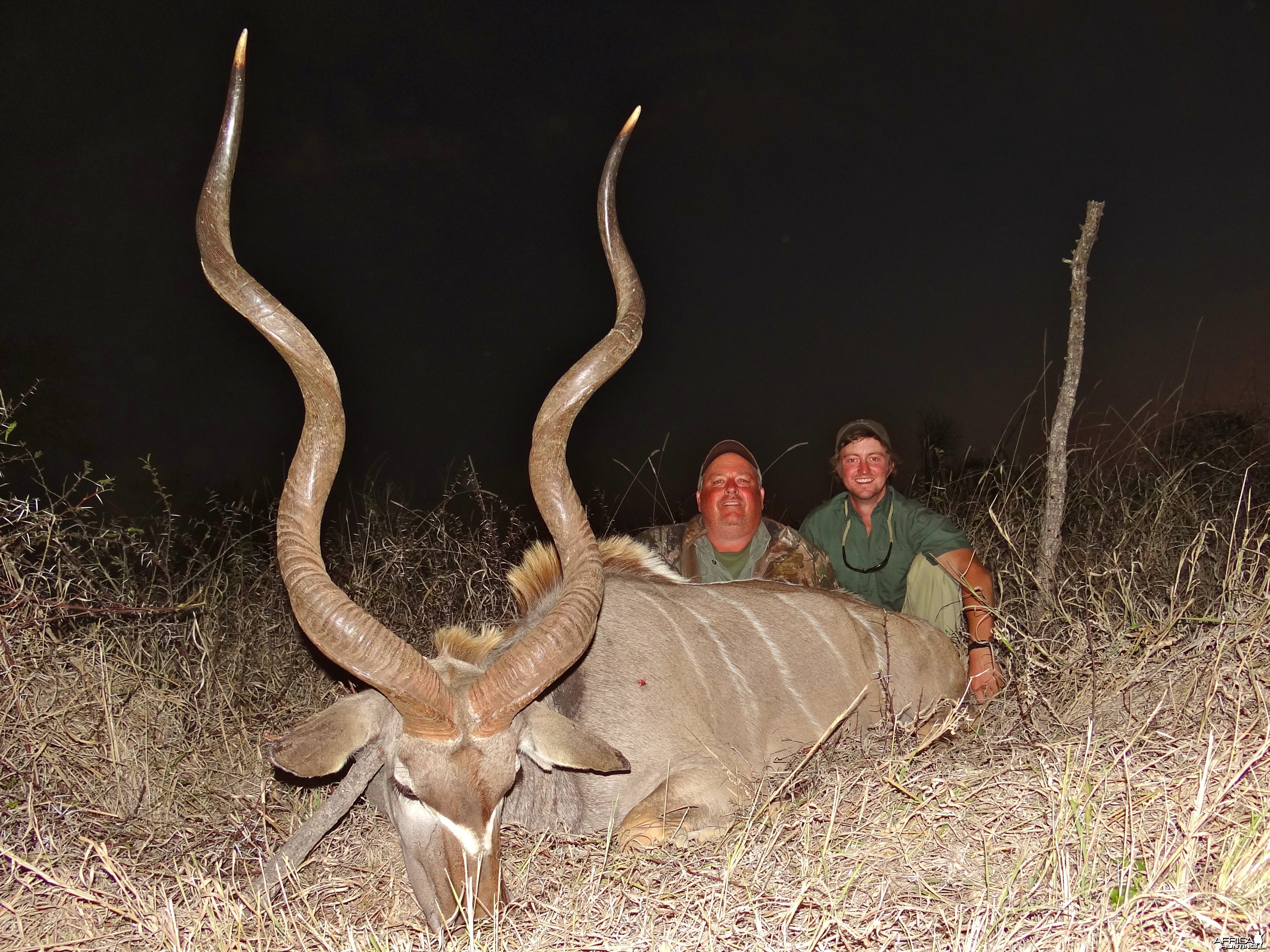 Kudu ~ Limpopo Province, South Africa