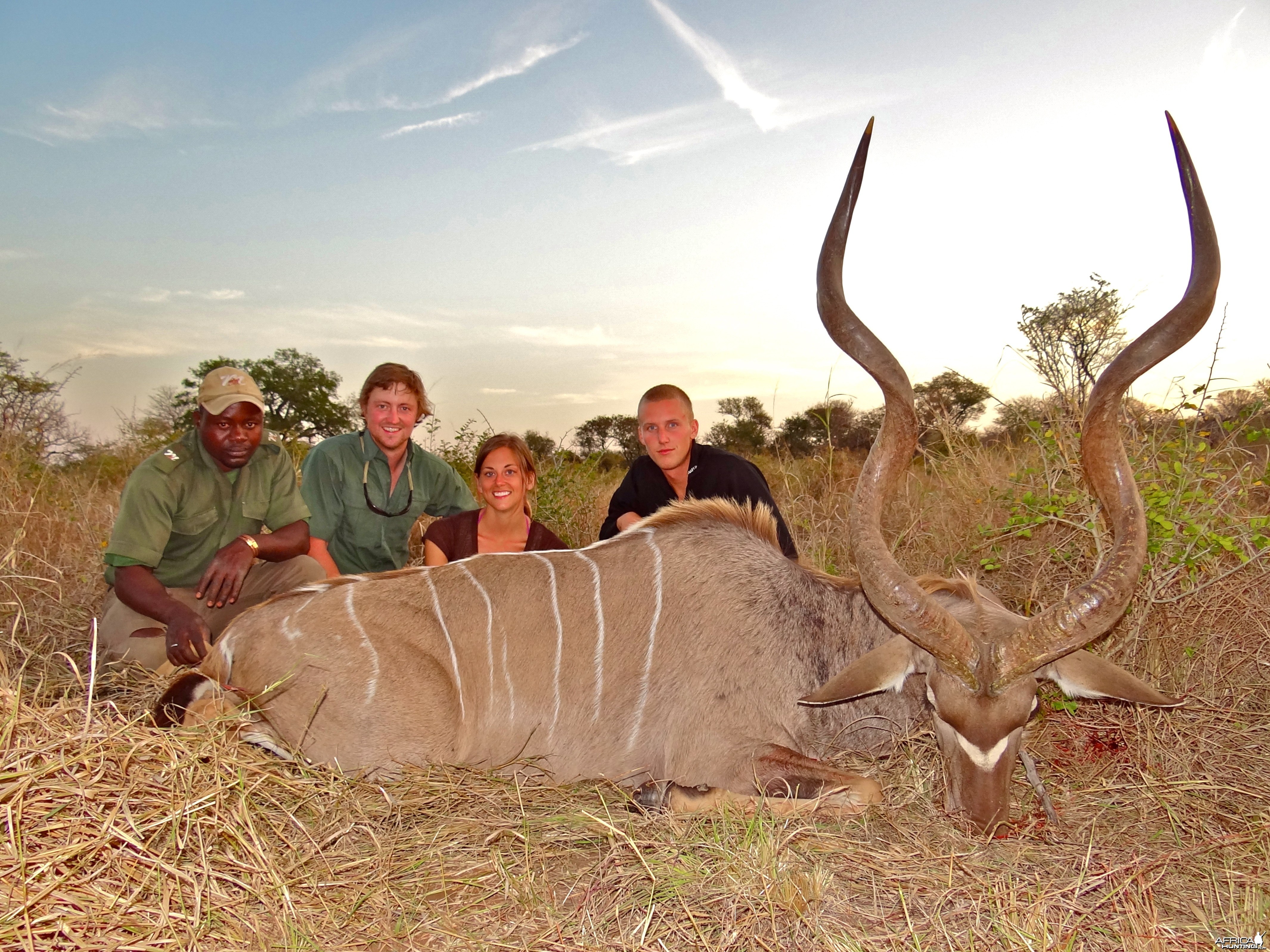 Kudu ~ Limpopo Province, South Africa