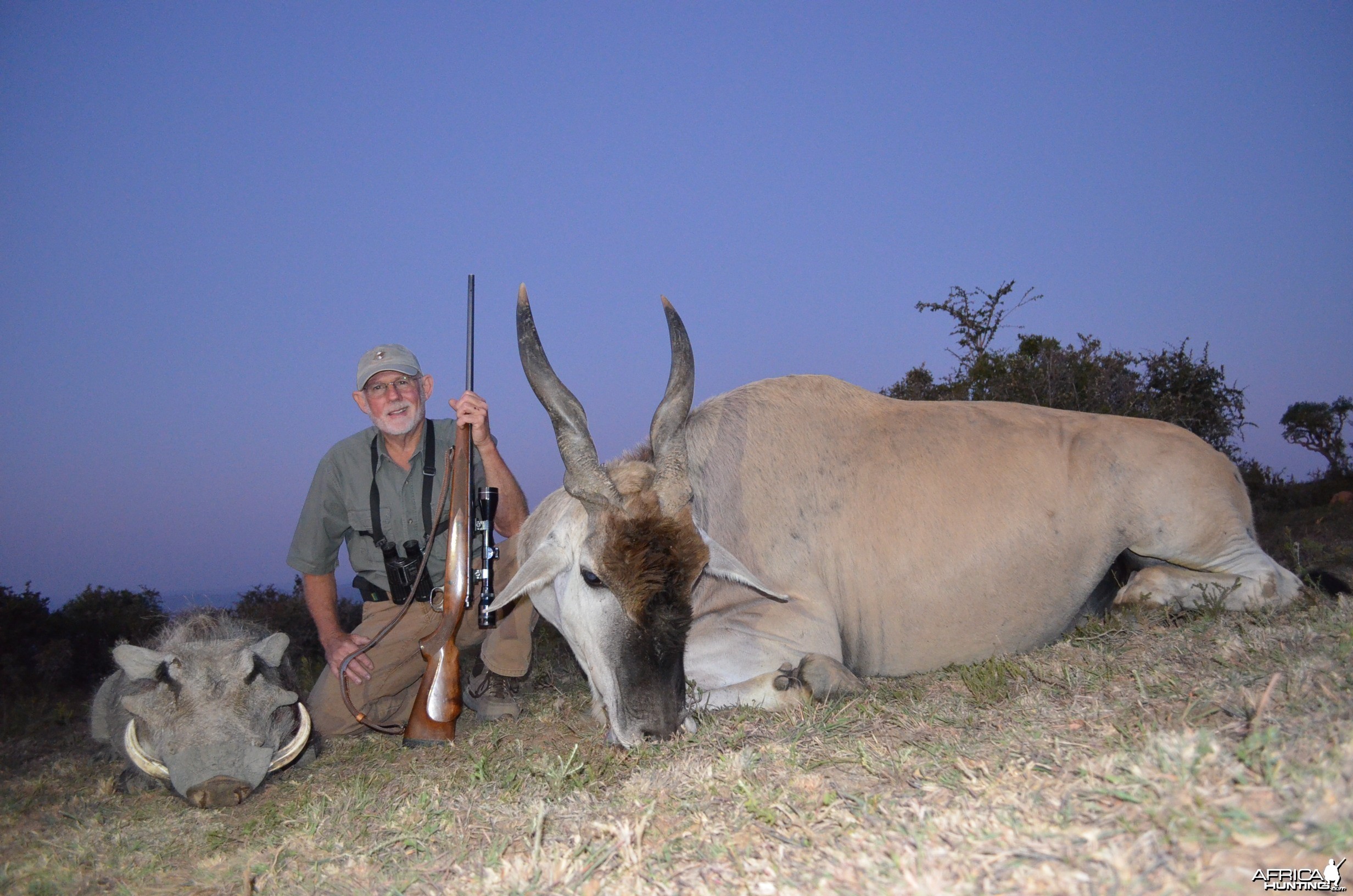 Warthog and Eland KMG Hunting Safaris