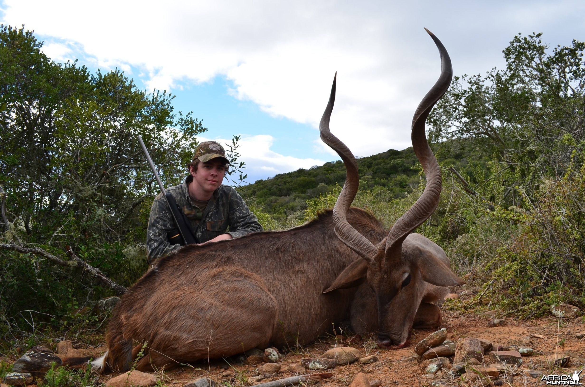 Kudu KMG Hunting Safaris