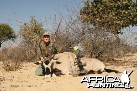 43 inch gemsbok cow