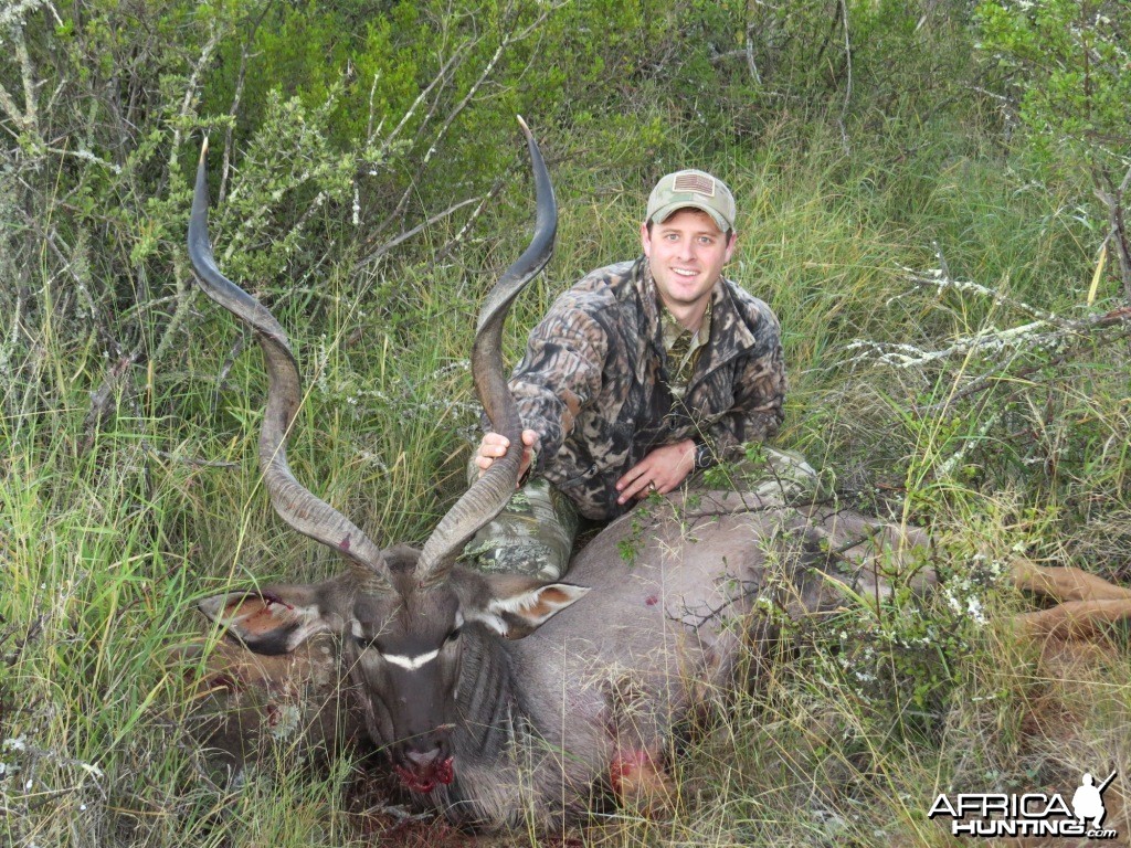 Eastern Cape Kudu Bull