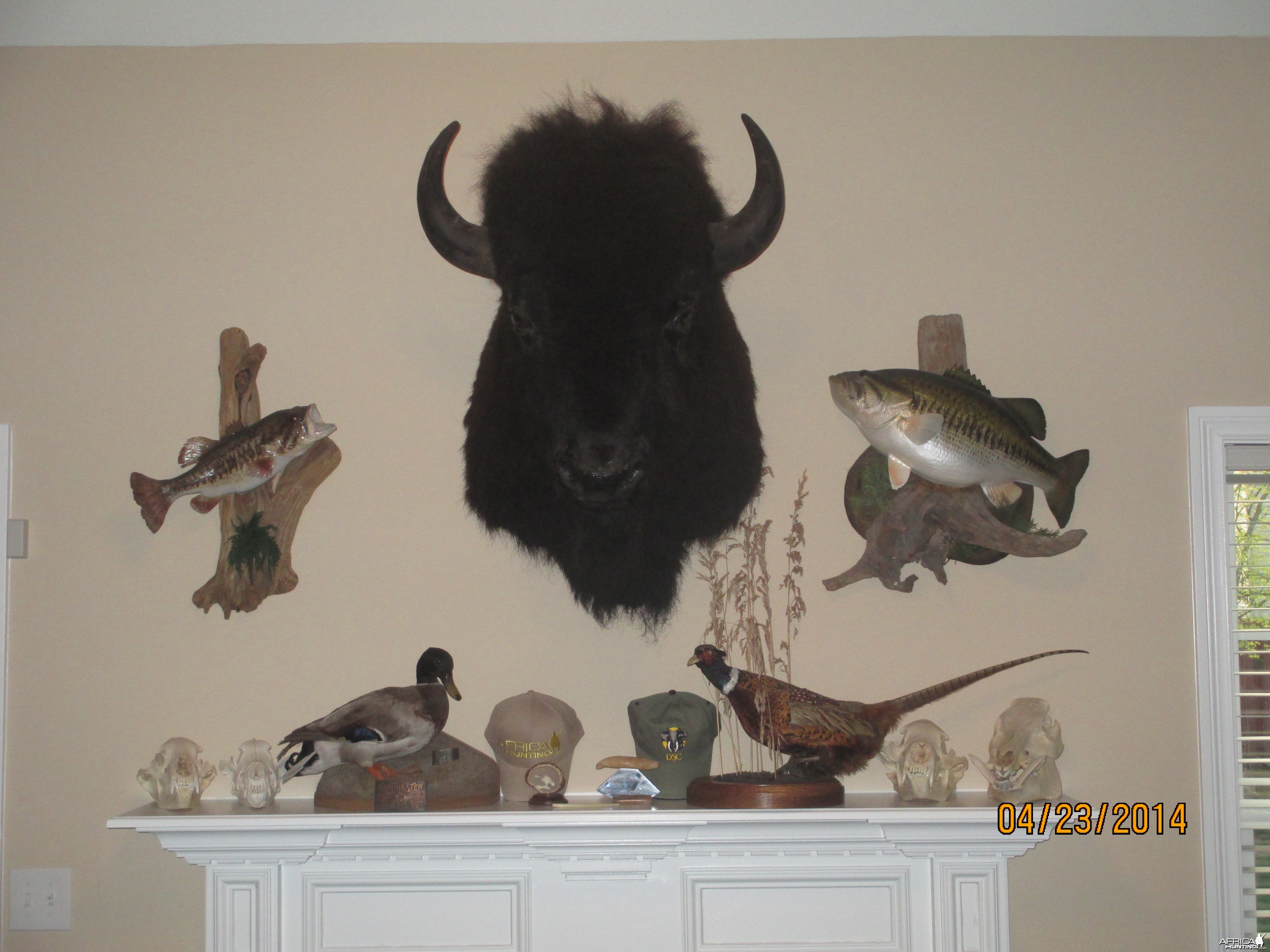 Trophy Room