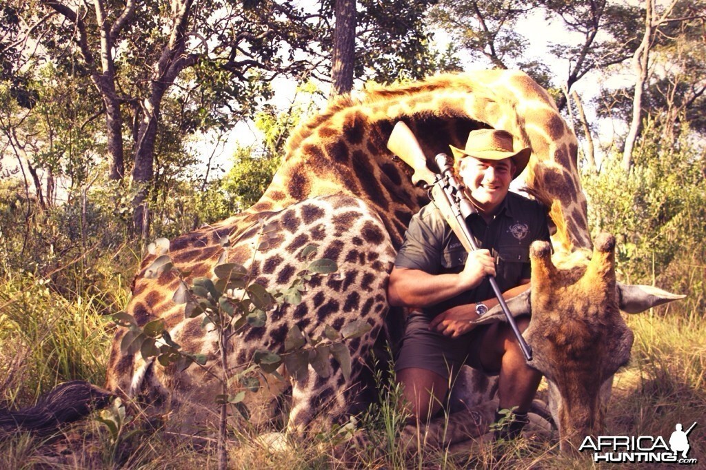 Awesome Giraffe Hunt in Limpopo