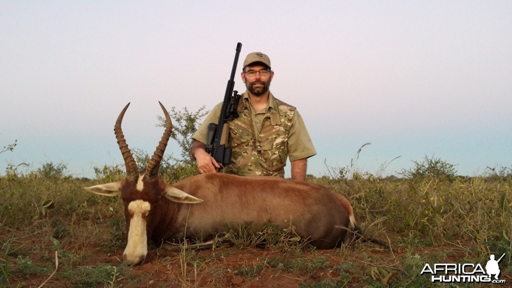 Blesbok RSA Limpopo 2014