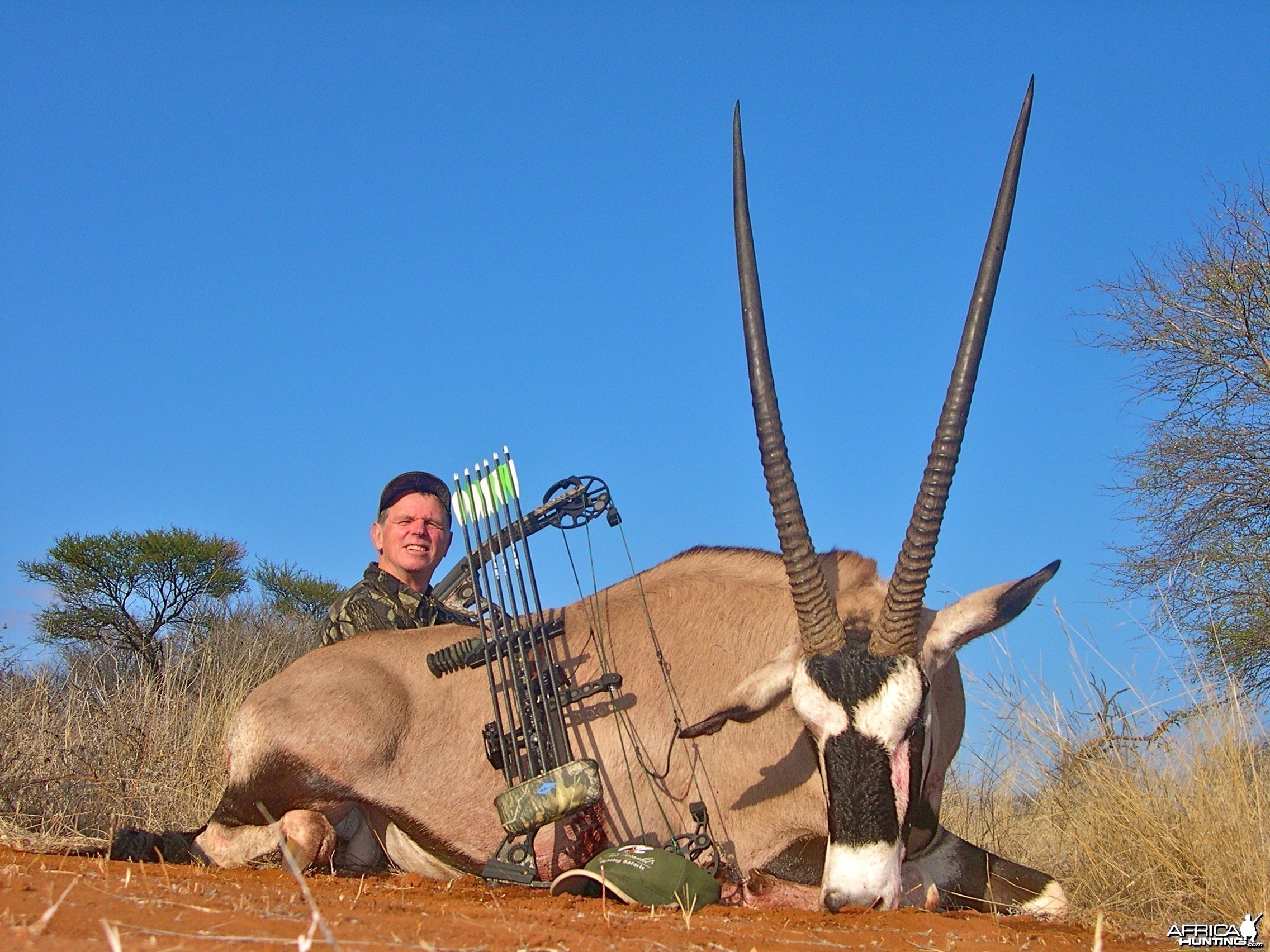 Gemsbuck ~ Limpopo Valley, RSA