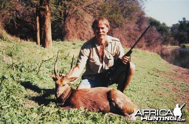 Limpopo Bushbuck