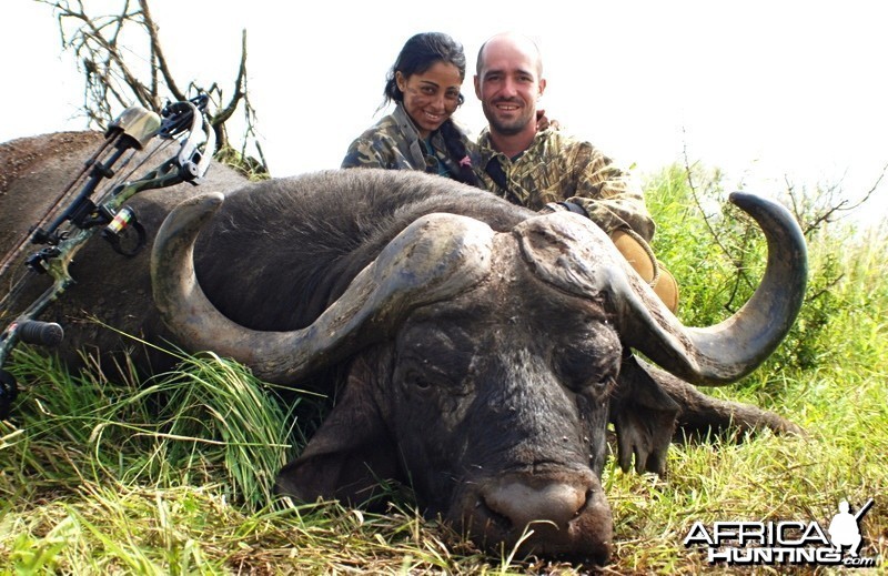 Buffalo ~ Mozambique