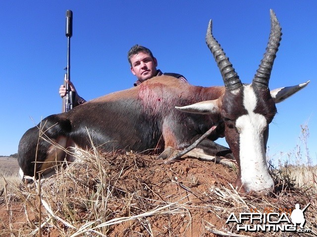 Bontebok