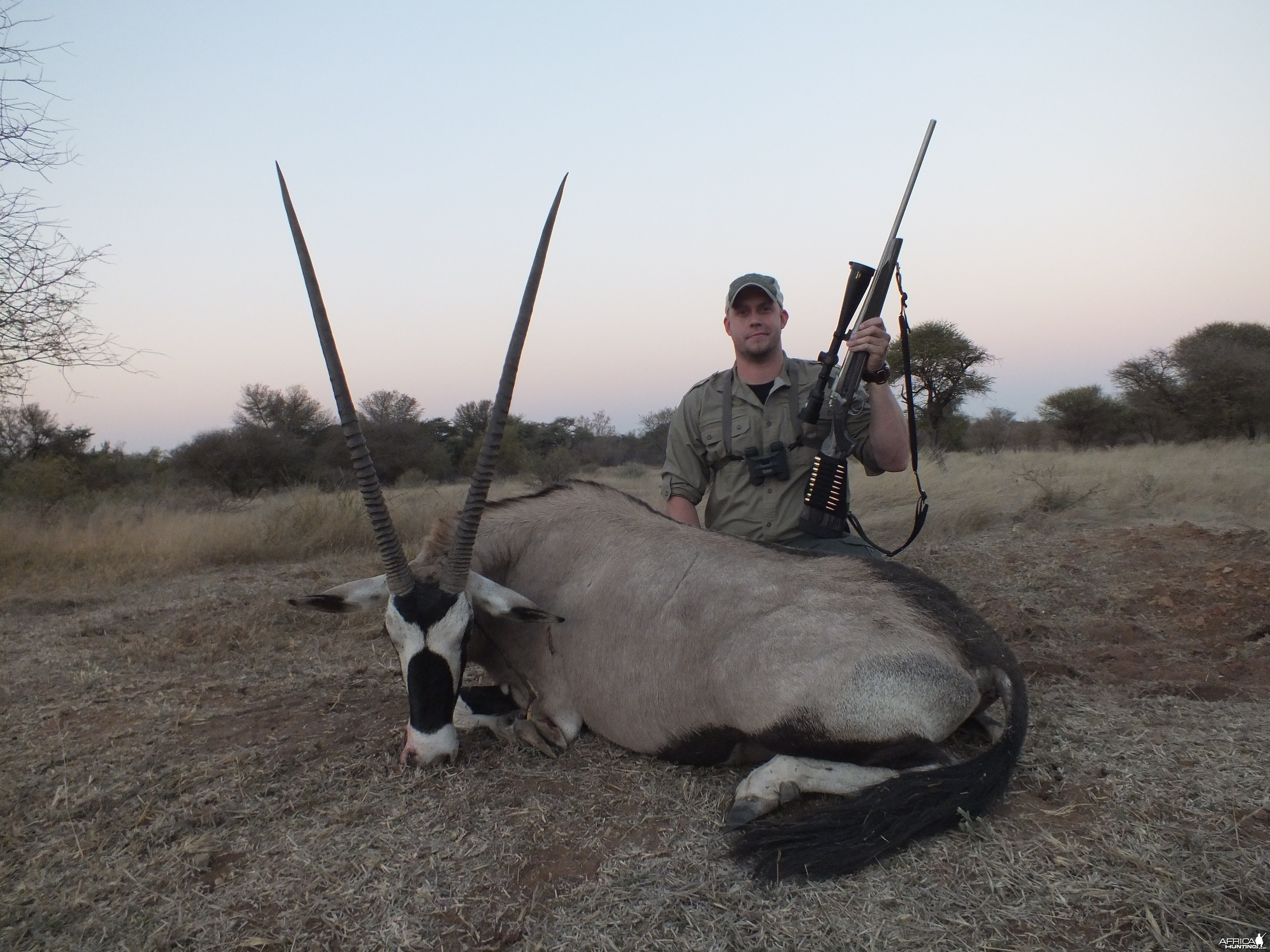 Gemsbok