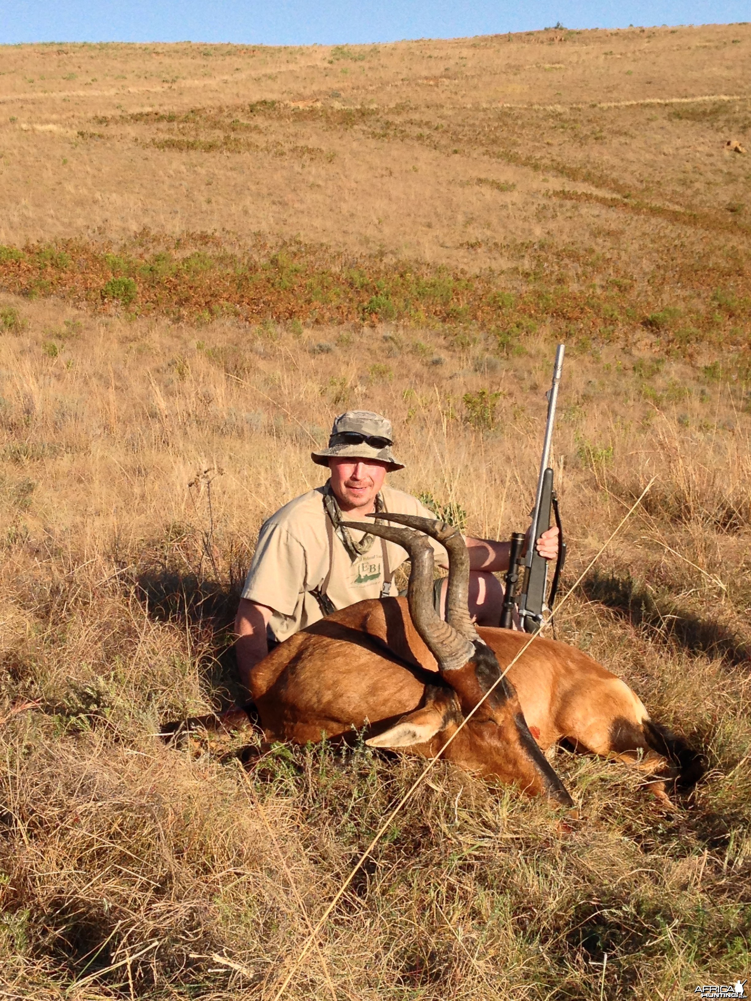 2014 Red Hartebeest