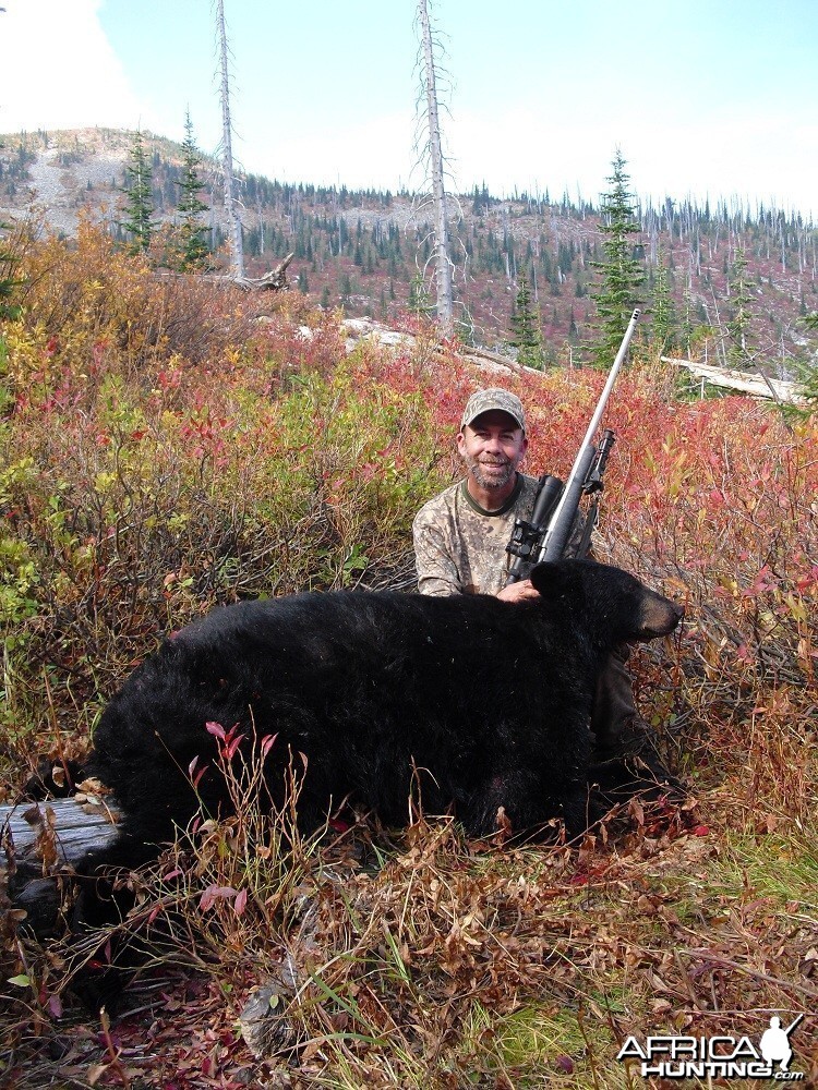 Big Black Bear &amp; 7mm STW