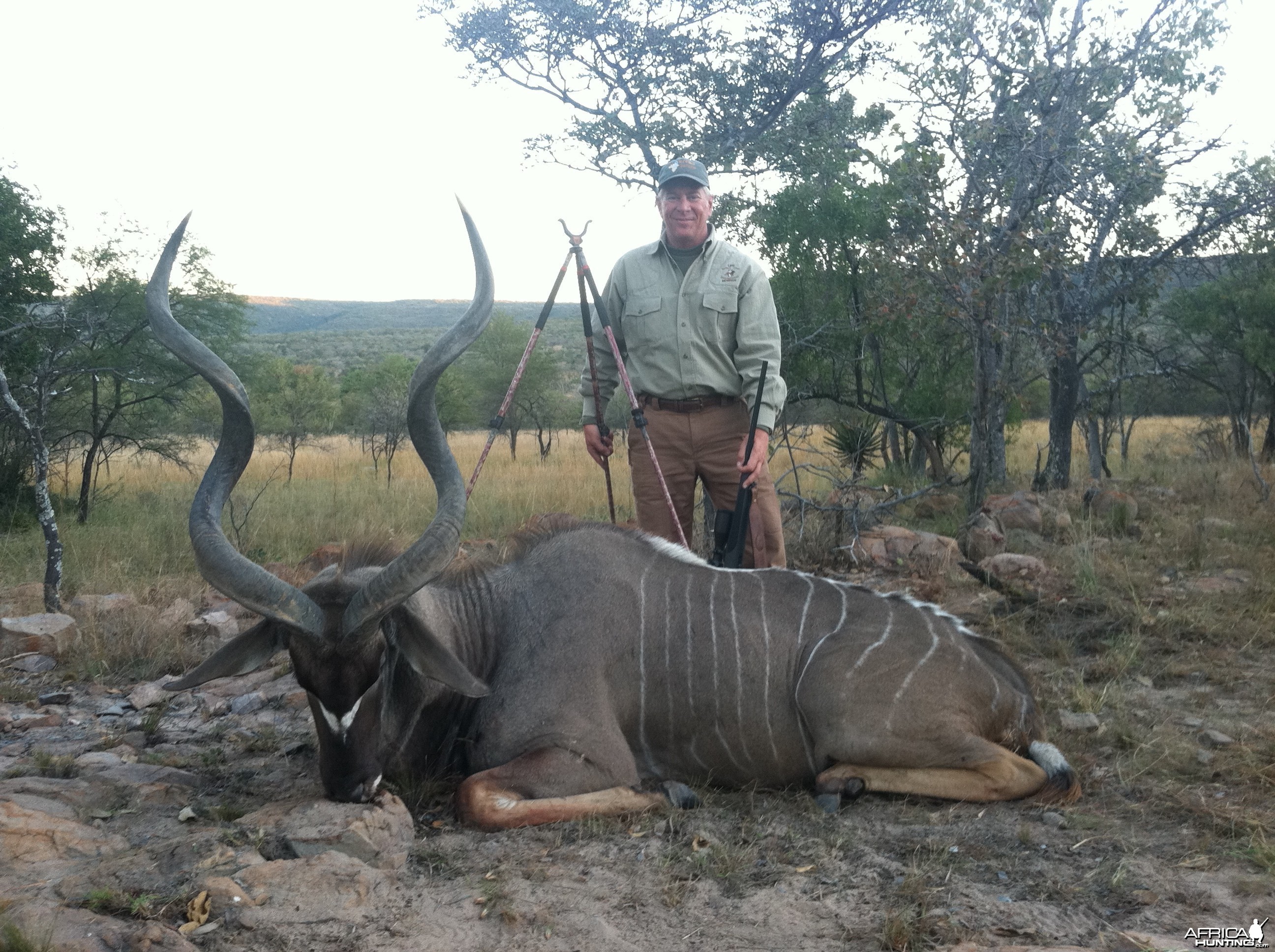 Kudu, June 2014