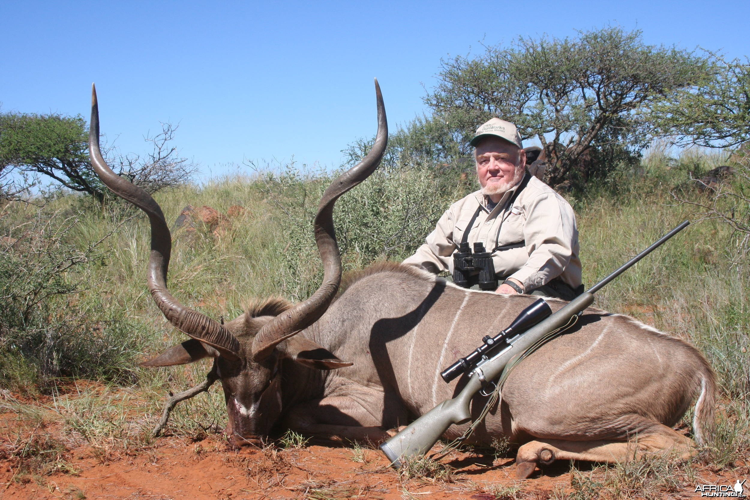 Cape Kudu