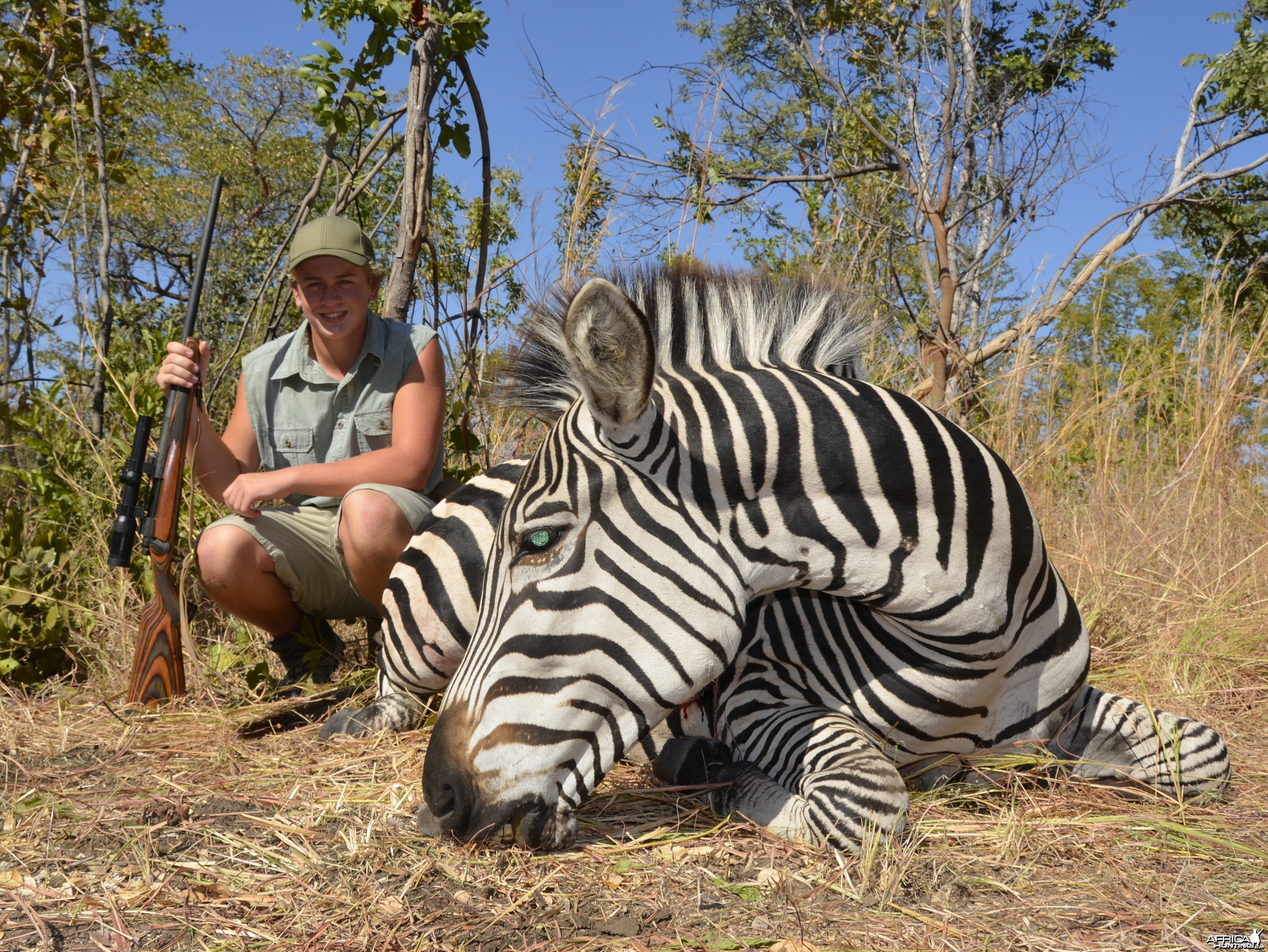 Hunter's Zebra