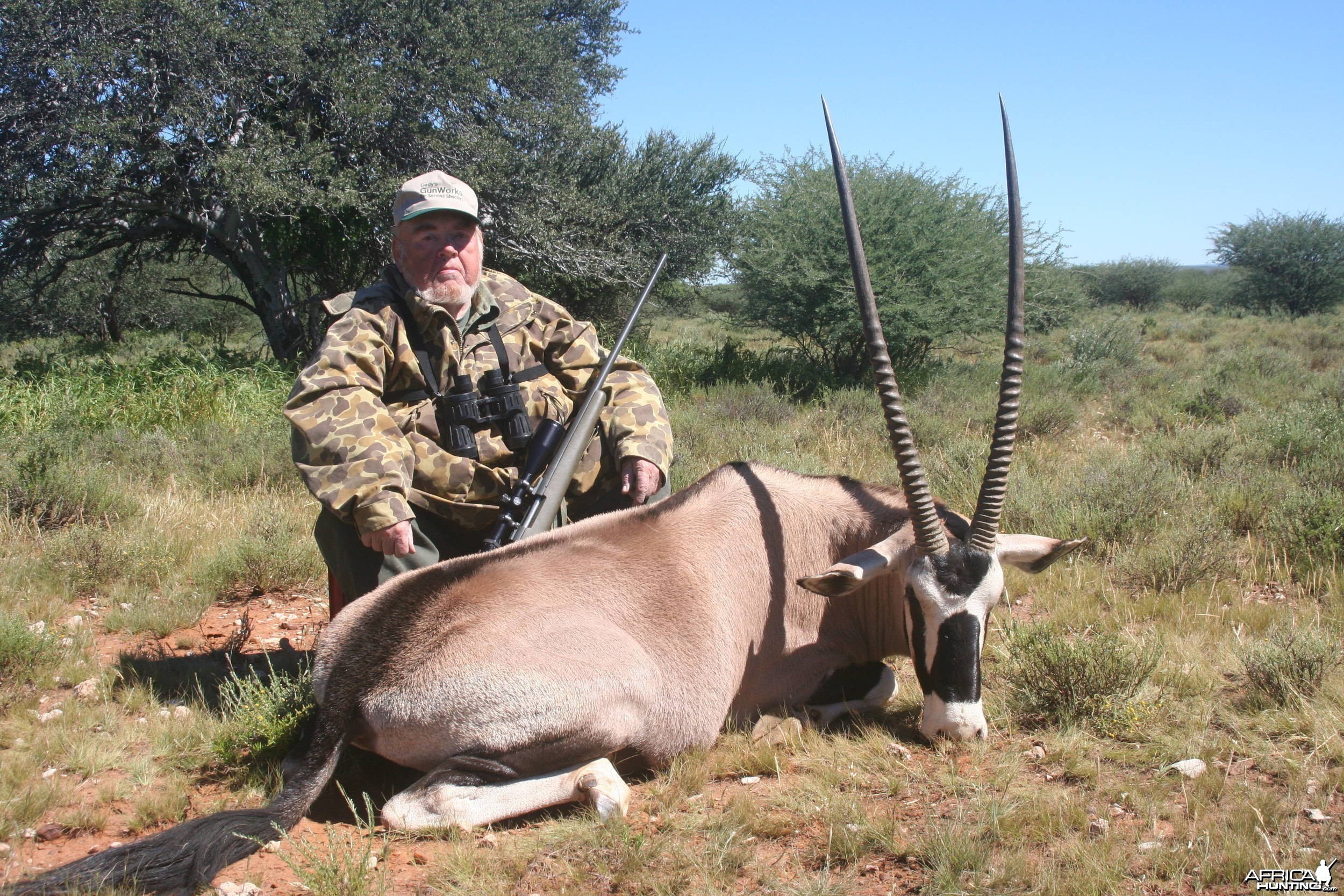 Gemsbok - South Africa