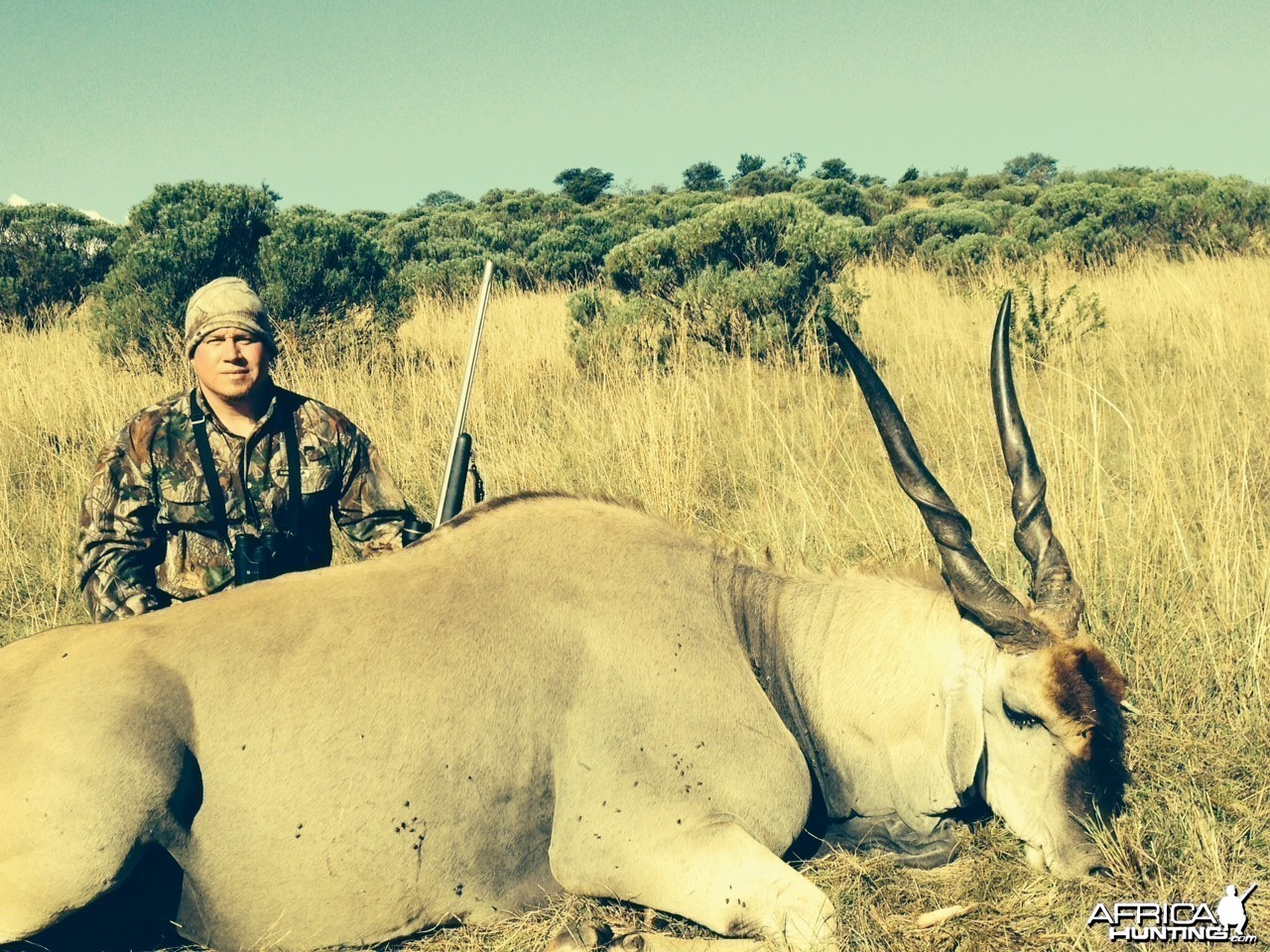 Cape Eland April 2014