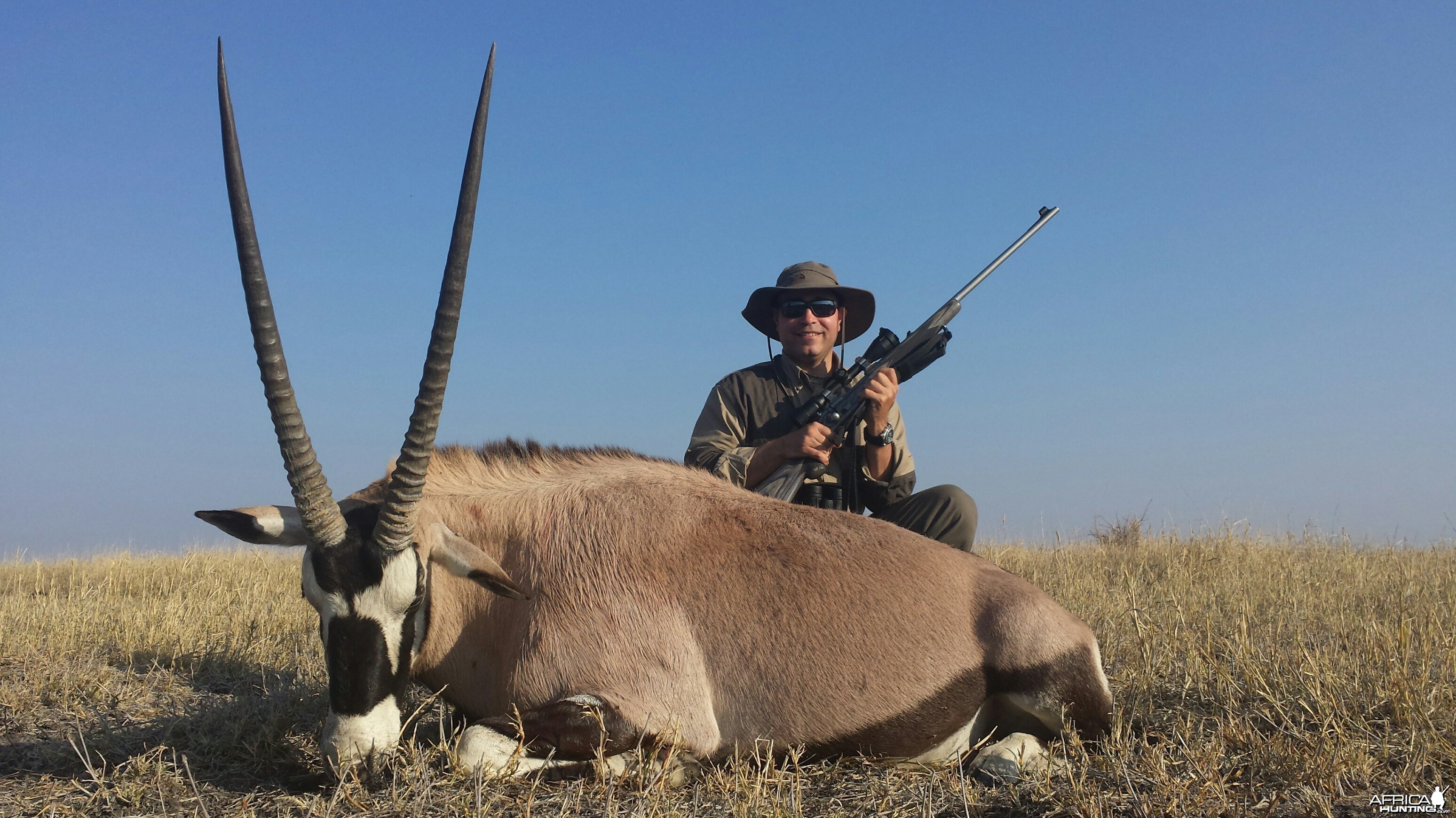 Gemsbok