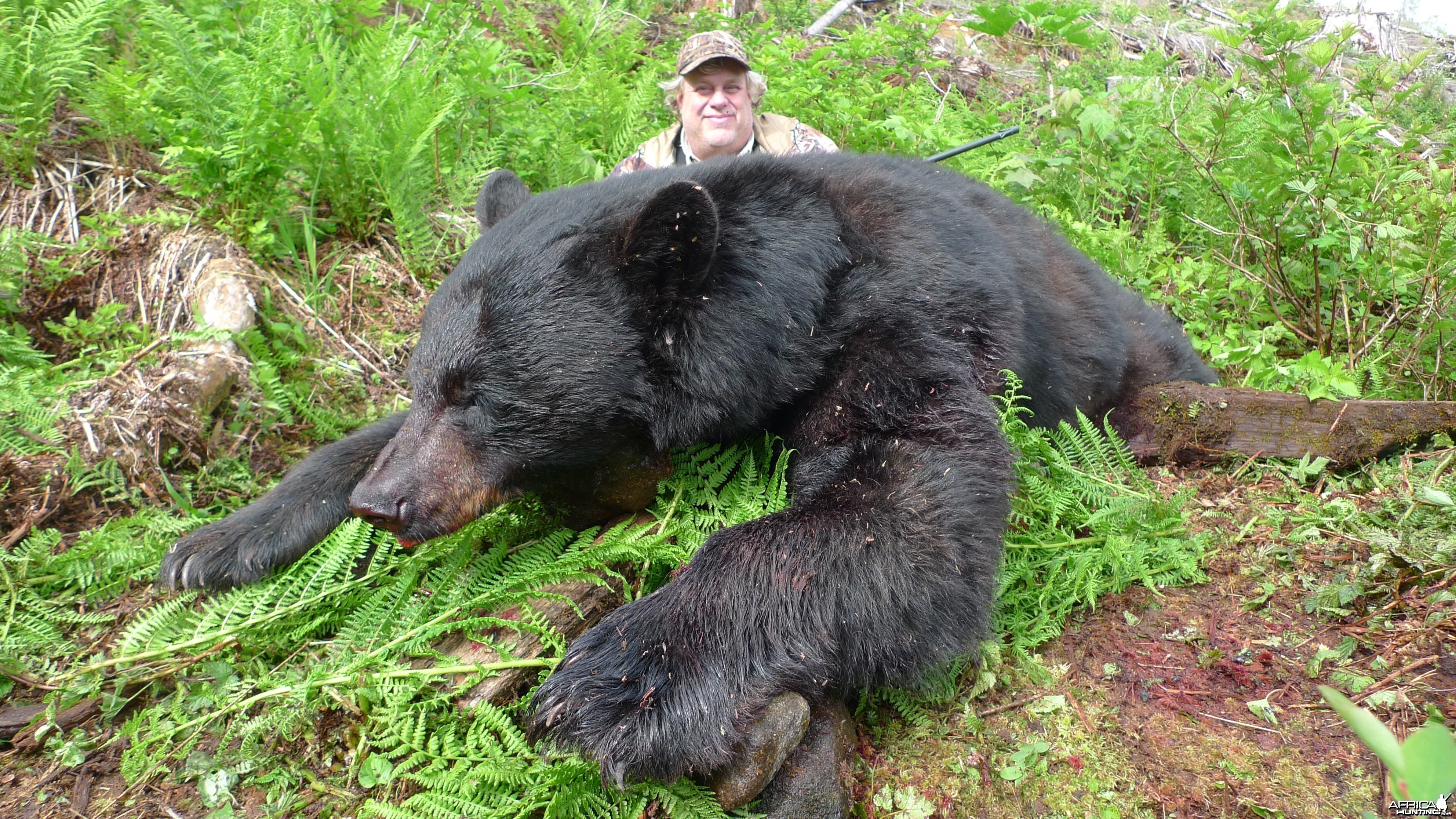 British Columbia Black Bear Hunt