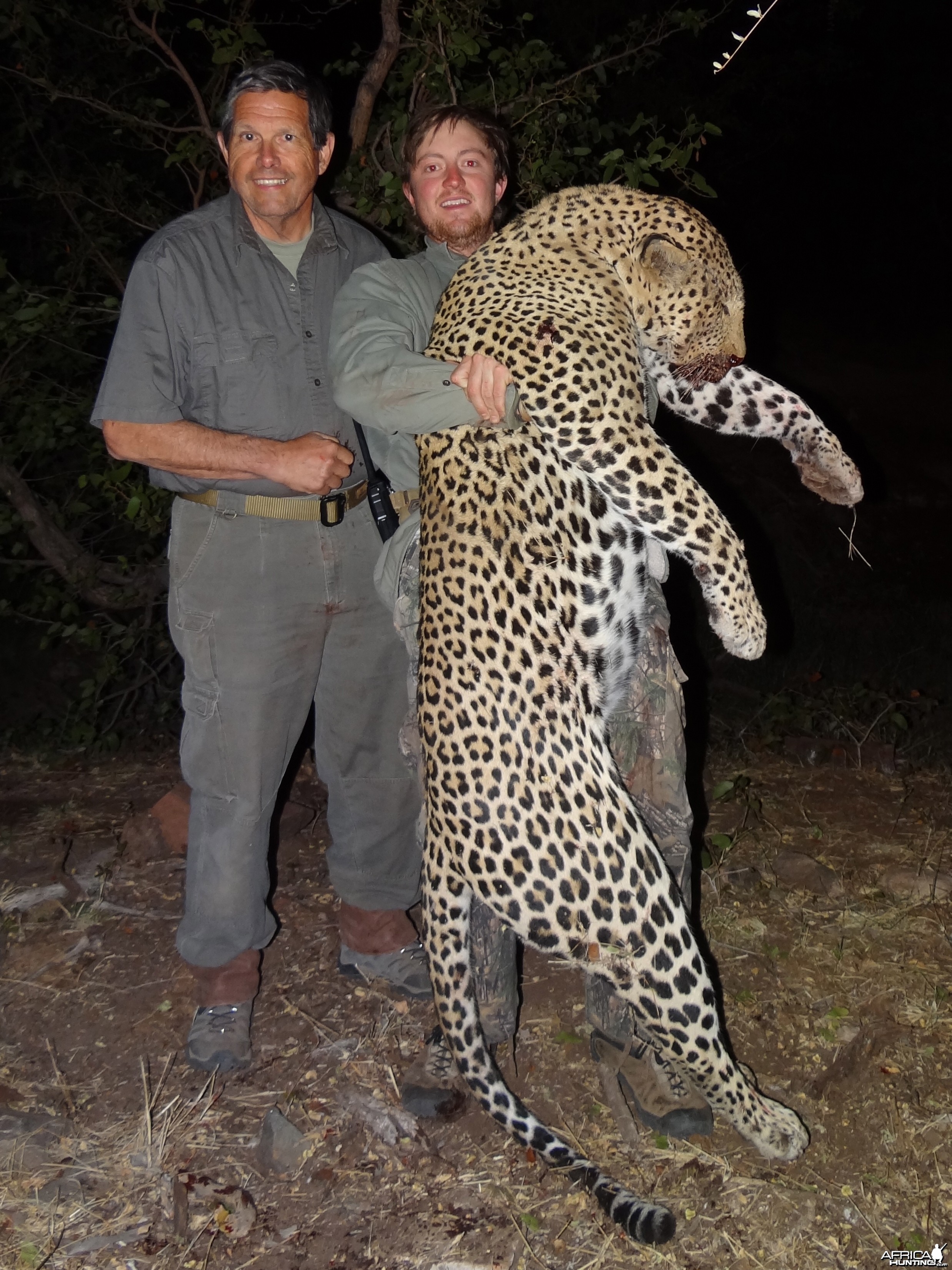 Leopard ~ Limpopo Province, RSA