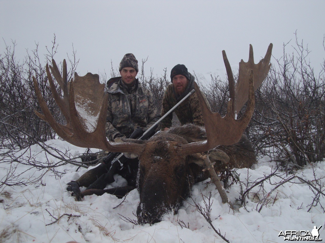 British Columbia Moose Hunt