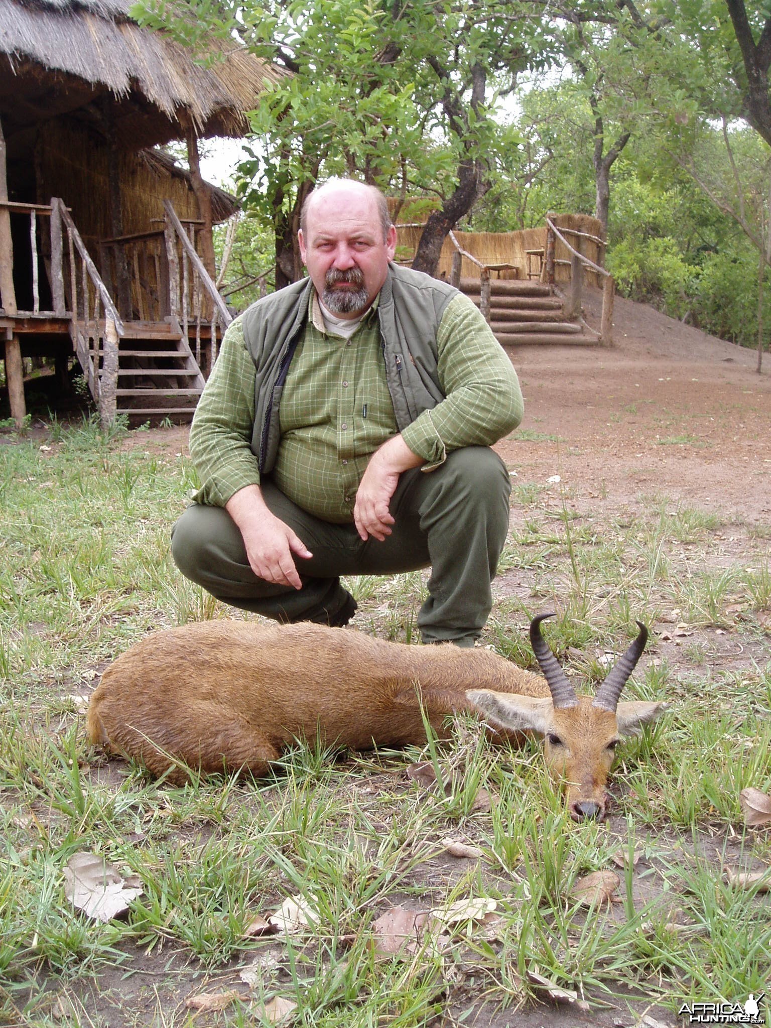 Bohor Reedbuck Kigosi