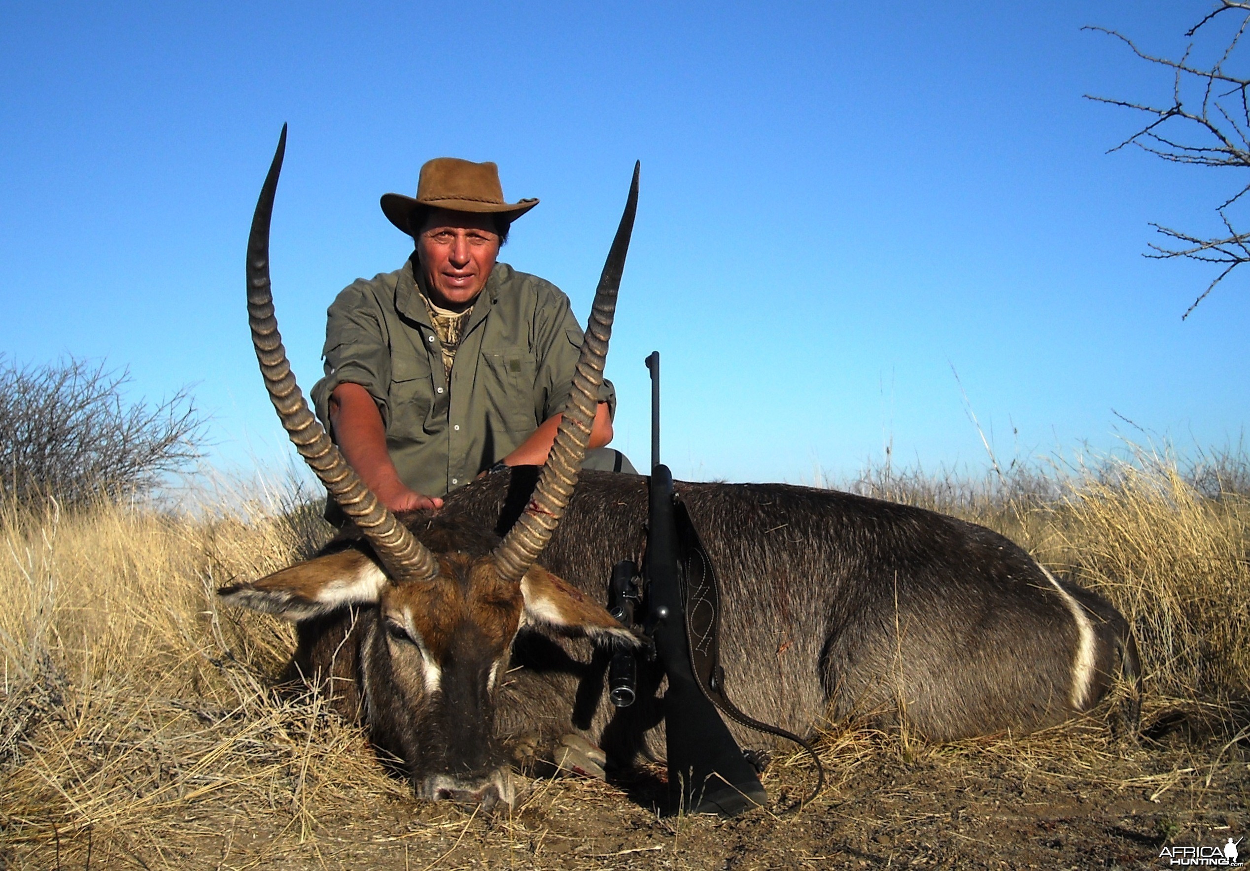 Waterbuck