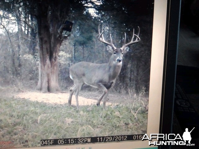 Jackpot on the plot cam in 2012, when he was bigger!