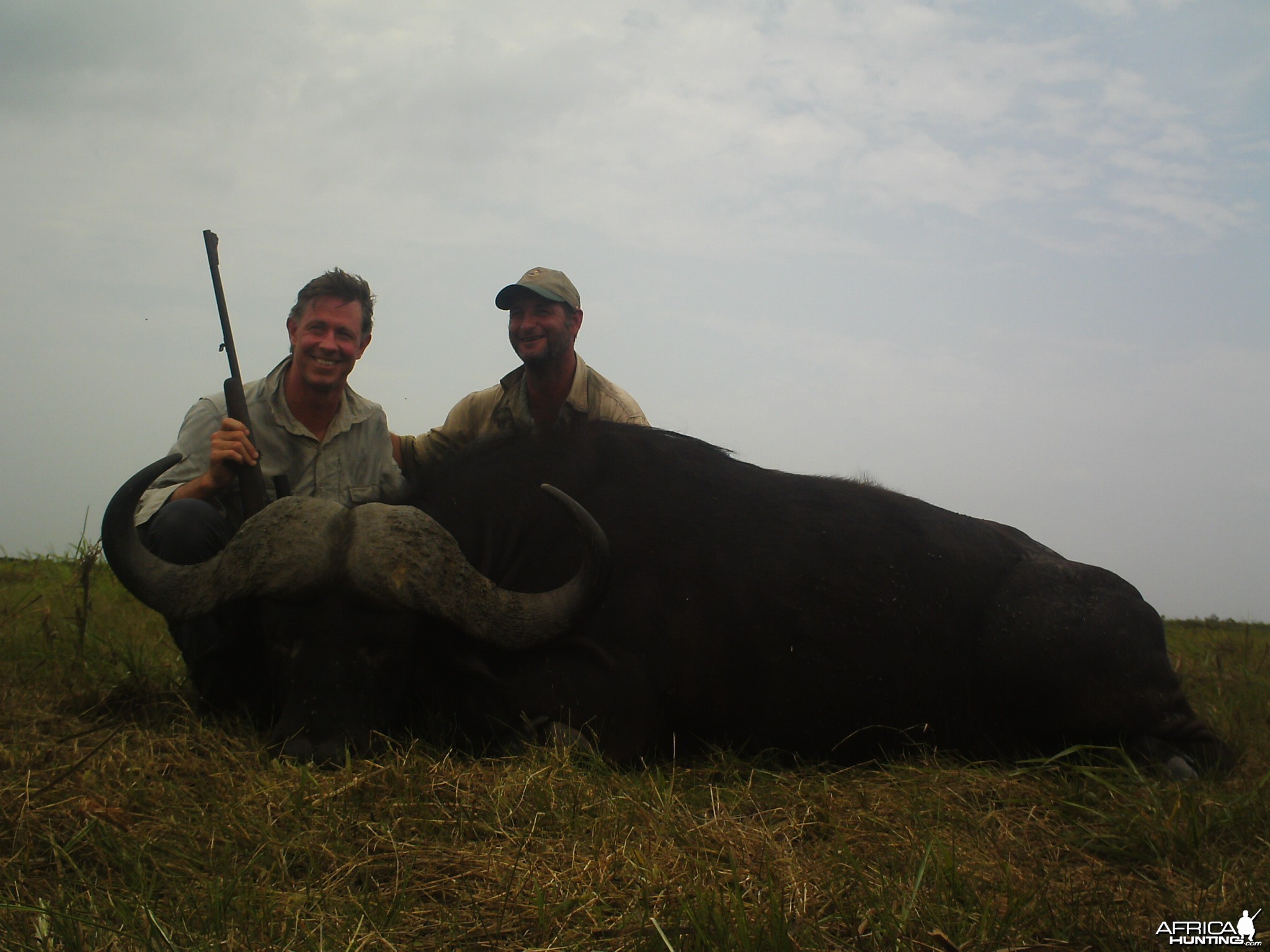 Mozambique Buffalo