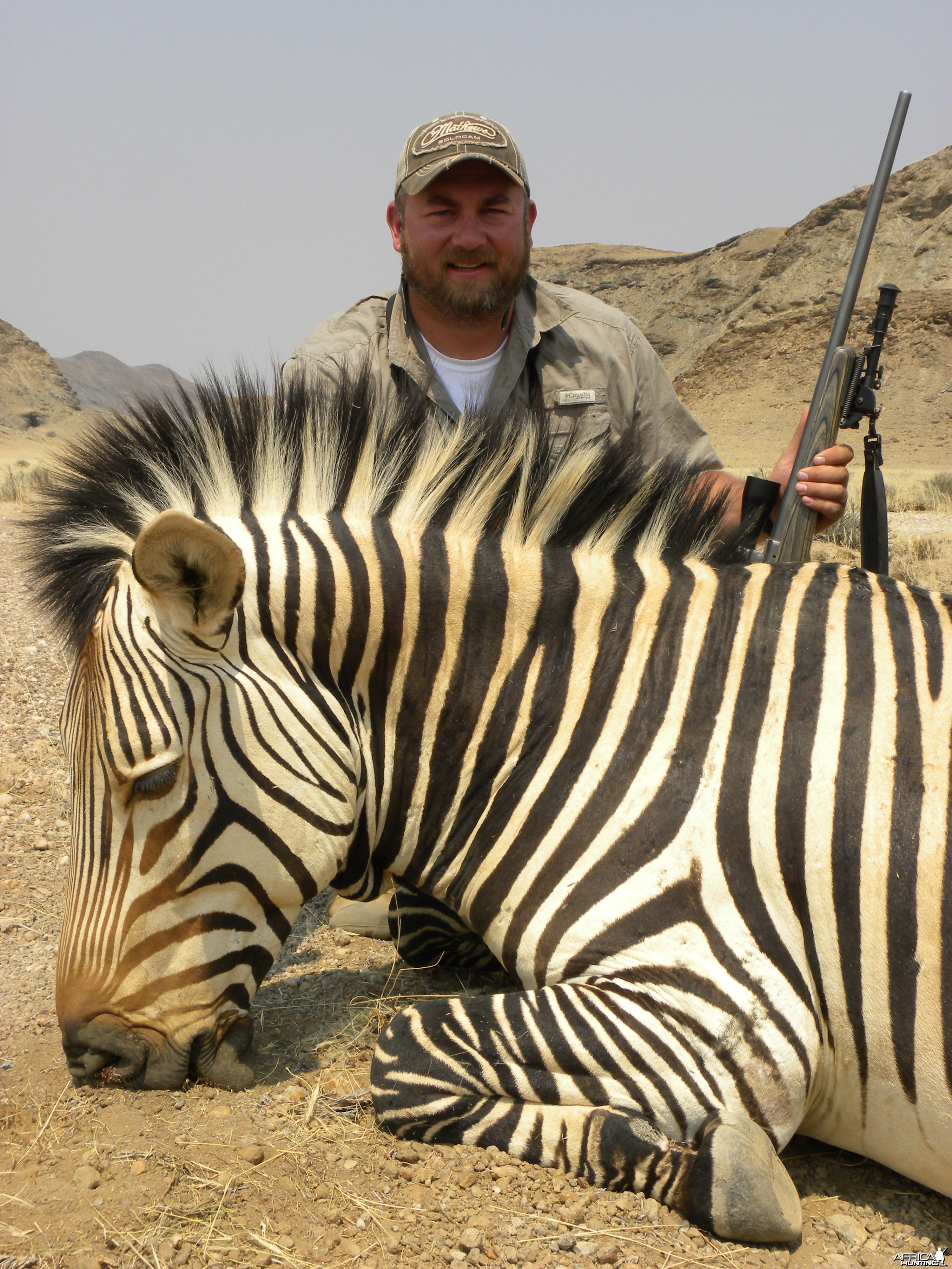 Namibia Mountian Zebra