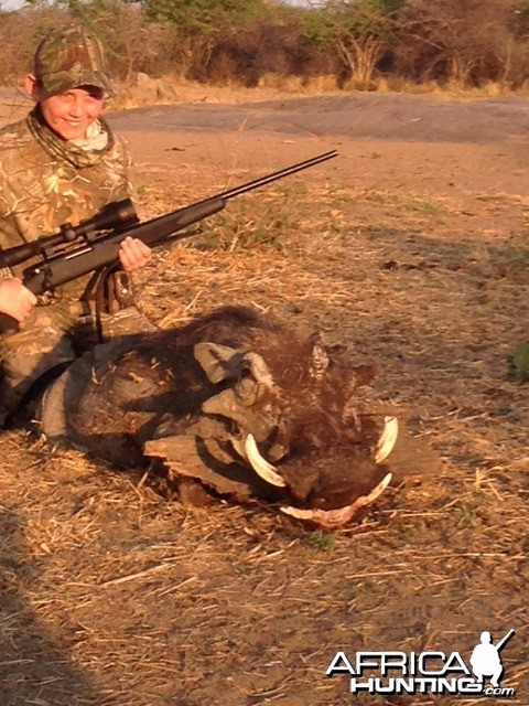 Warthog. Second day of hunting shot a 6 inch warthog.