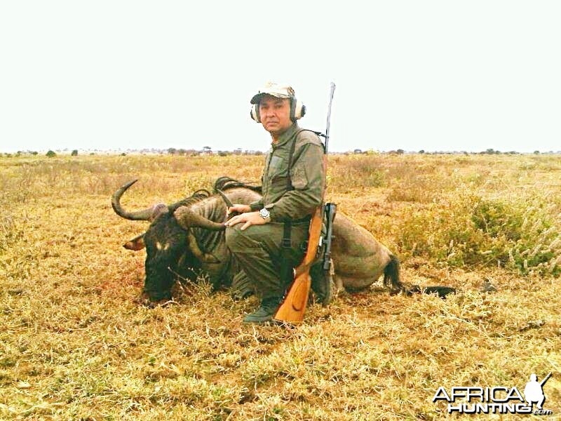 Wildebeest Shot at Emboret, Tanzania