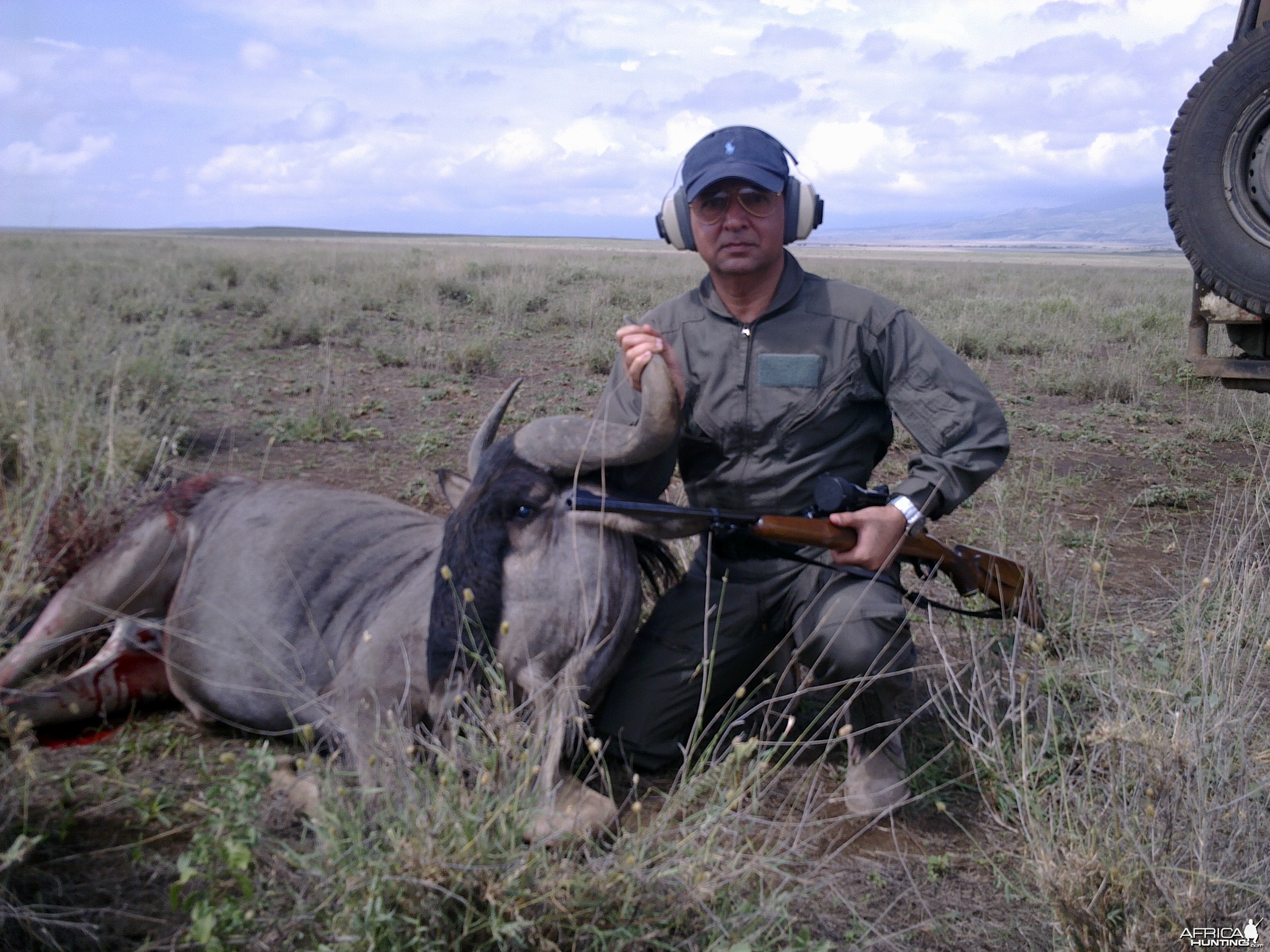 Wildebeest Shot at Masailand, Tanzania