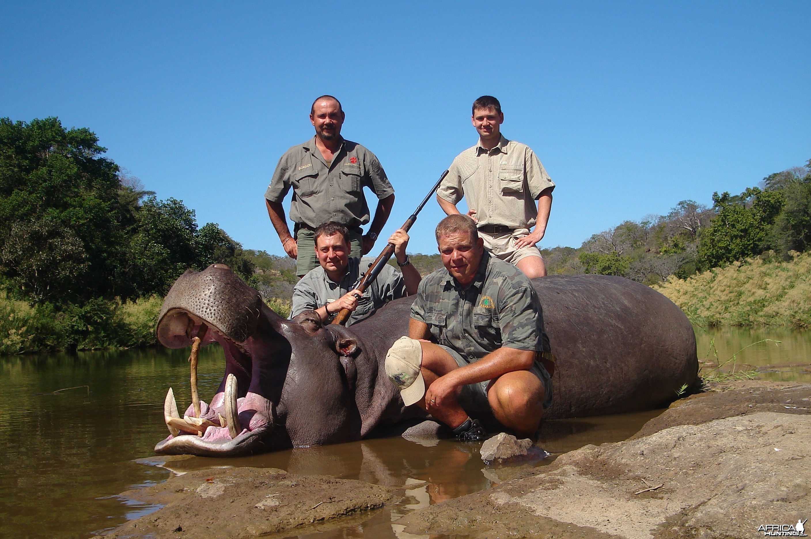 Hippopotamus Matetsi