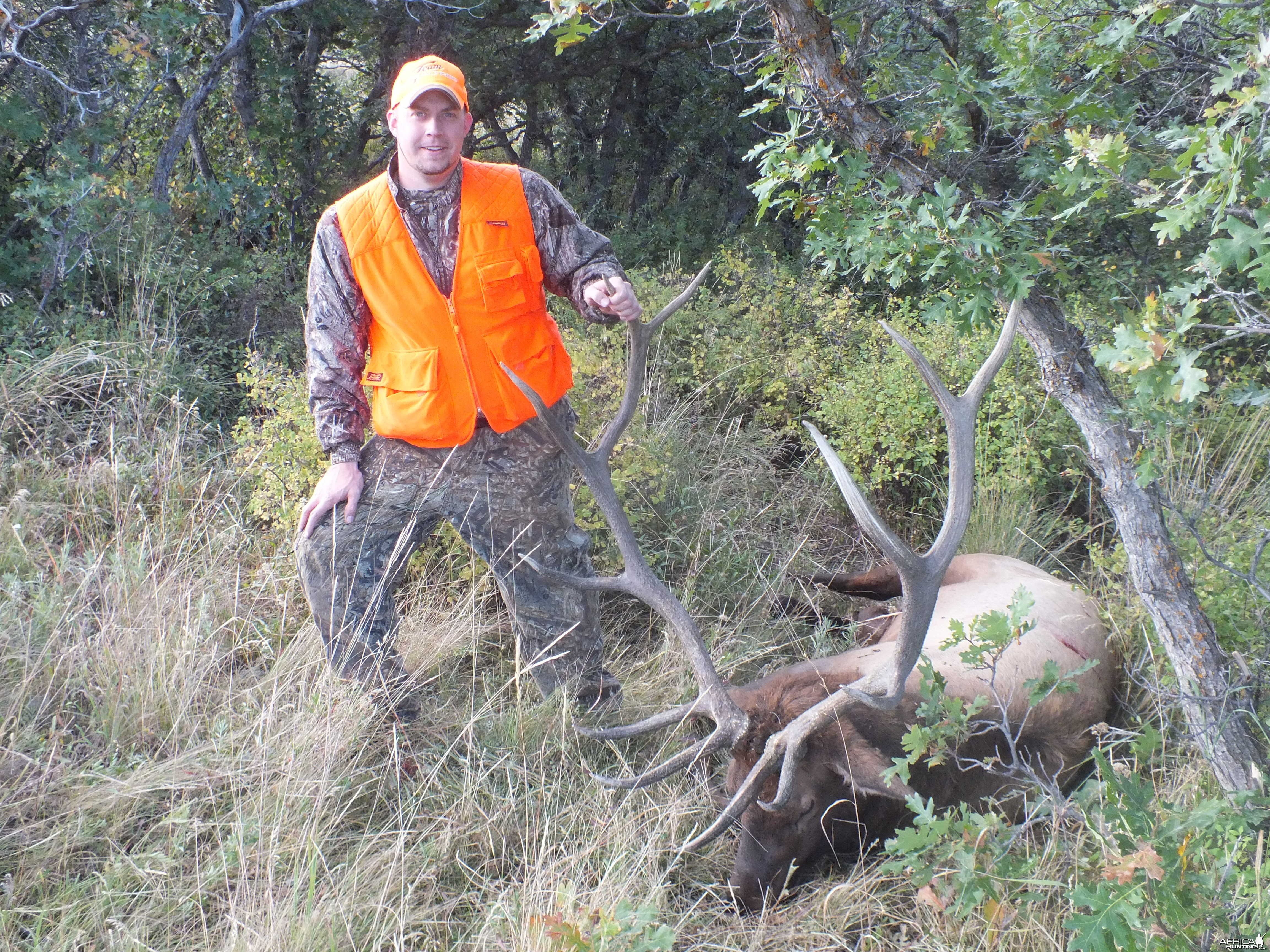 Colorado Elk 2014