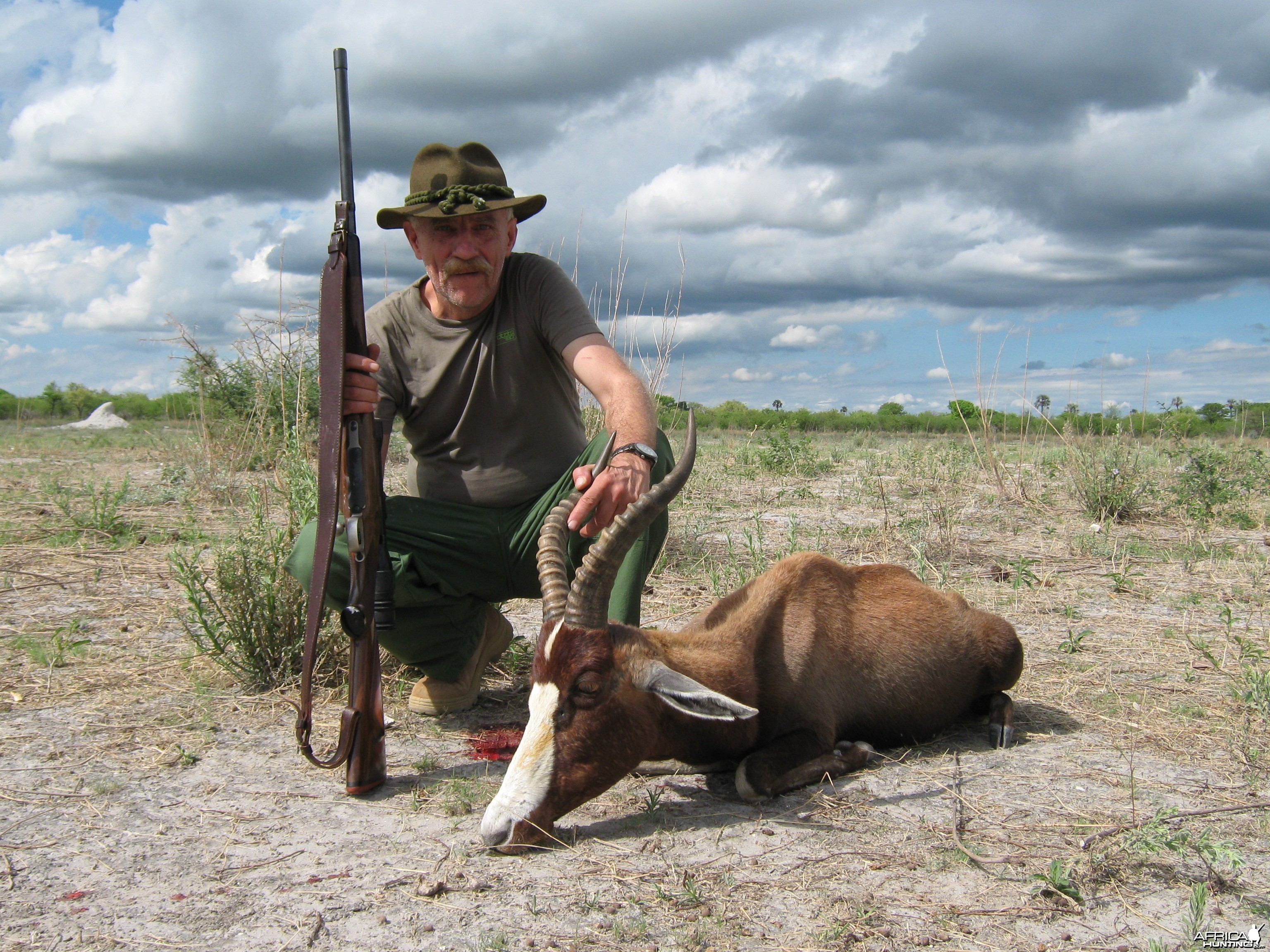 Blesbok from Omalanga Safaris Namibia