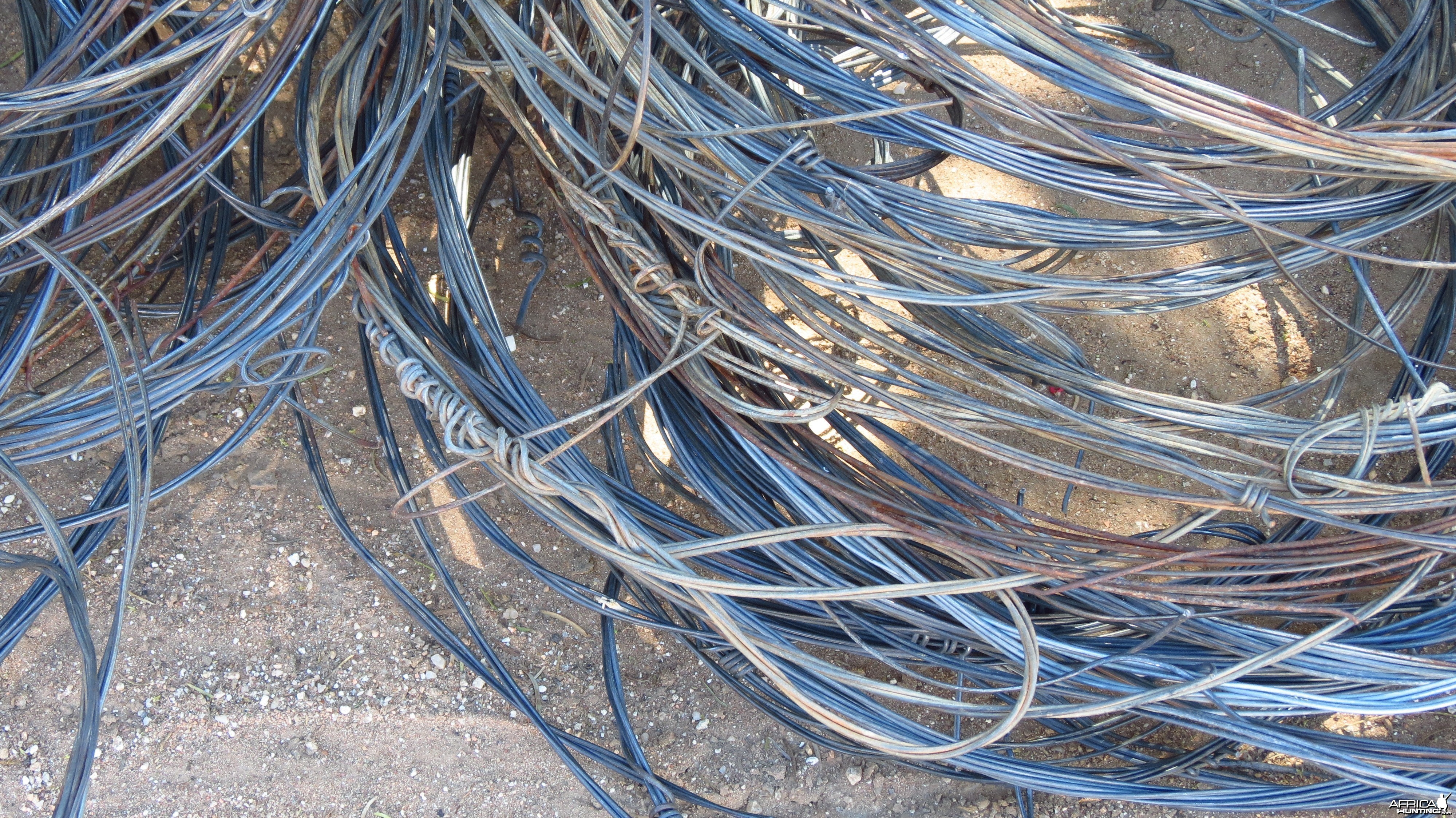 Poacher Snares Namibia