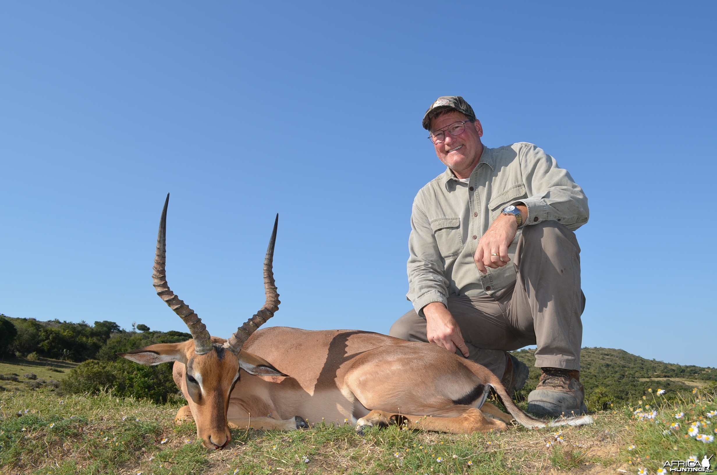Impala KMG Hunting Safaris