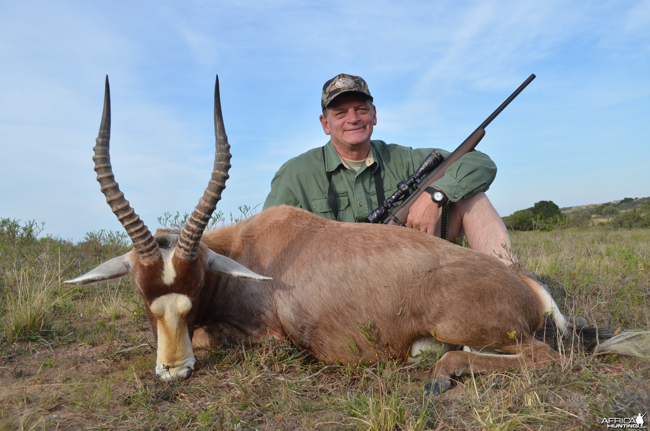 Blesbok KMG Hunting Safaris