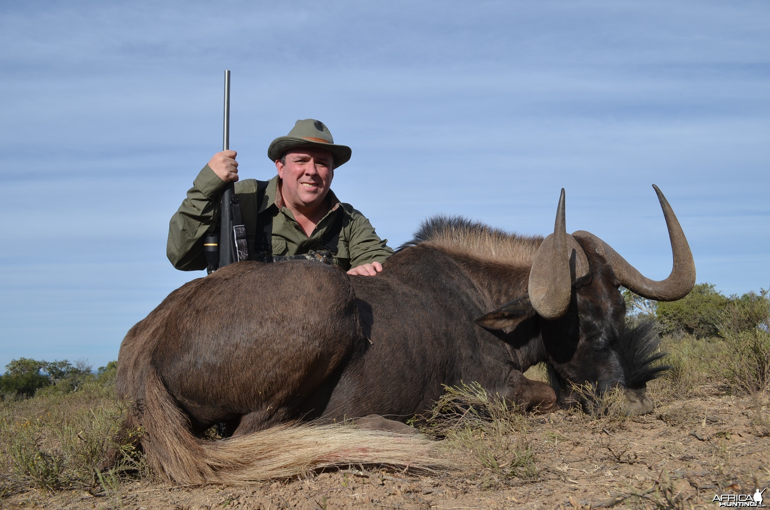 Black Wildebeest KMG Hunting Safaris