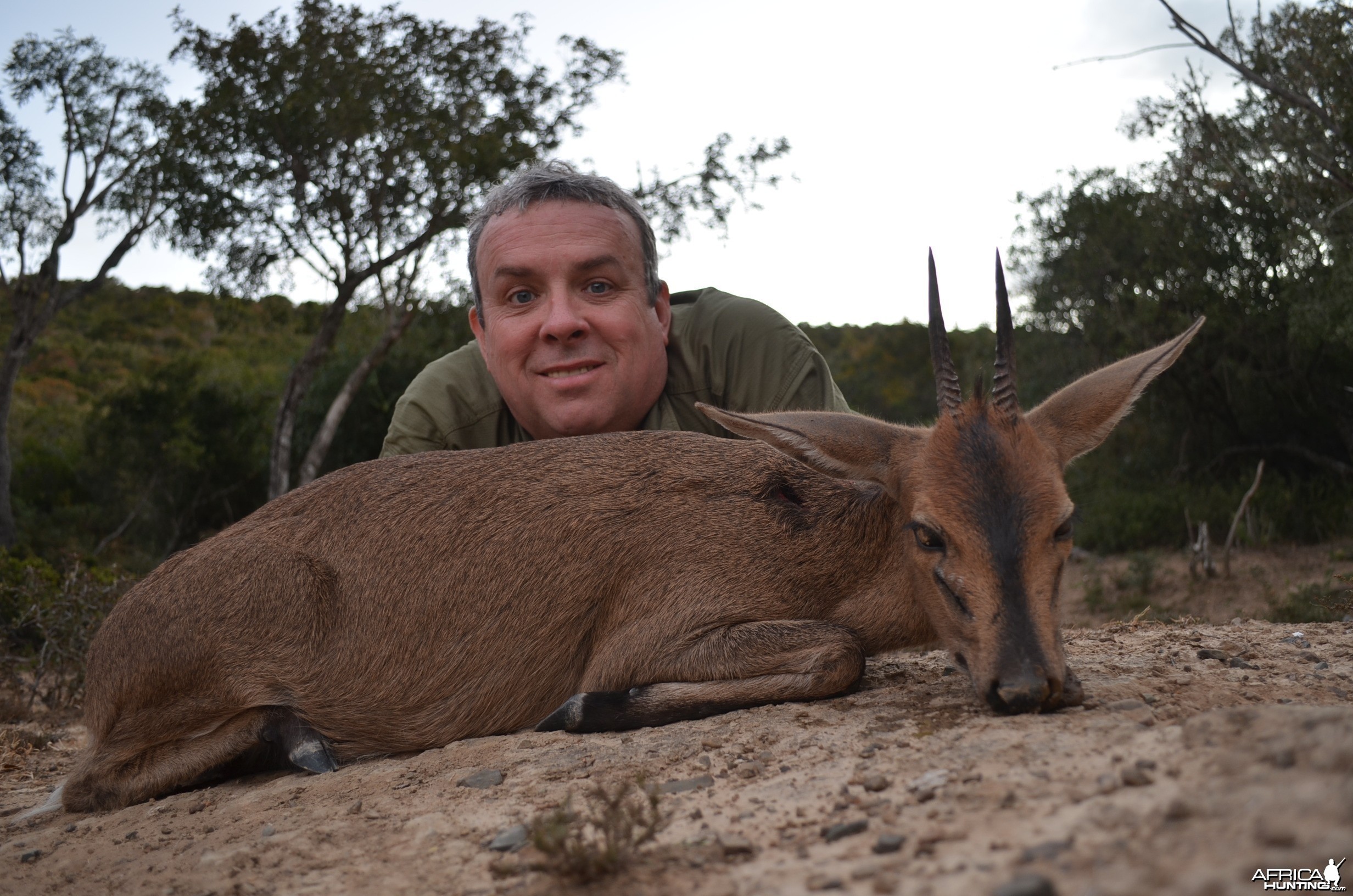 Duiker KMG Hunting Safaris