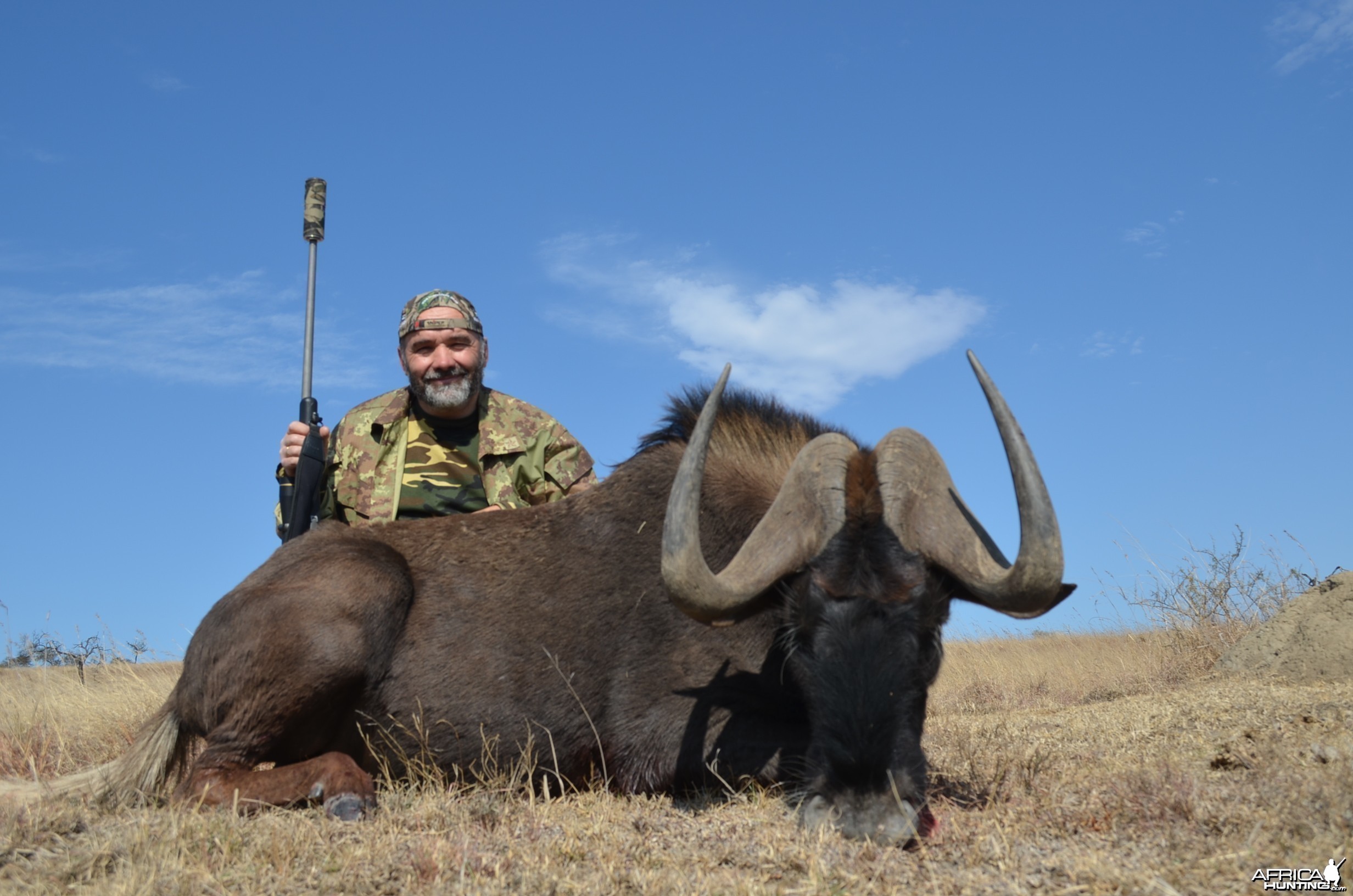 Black Wildebeest KMG Hunting Safaris