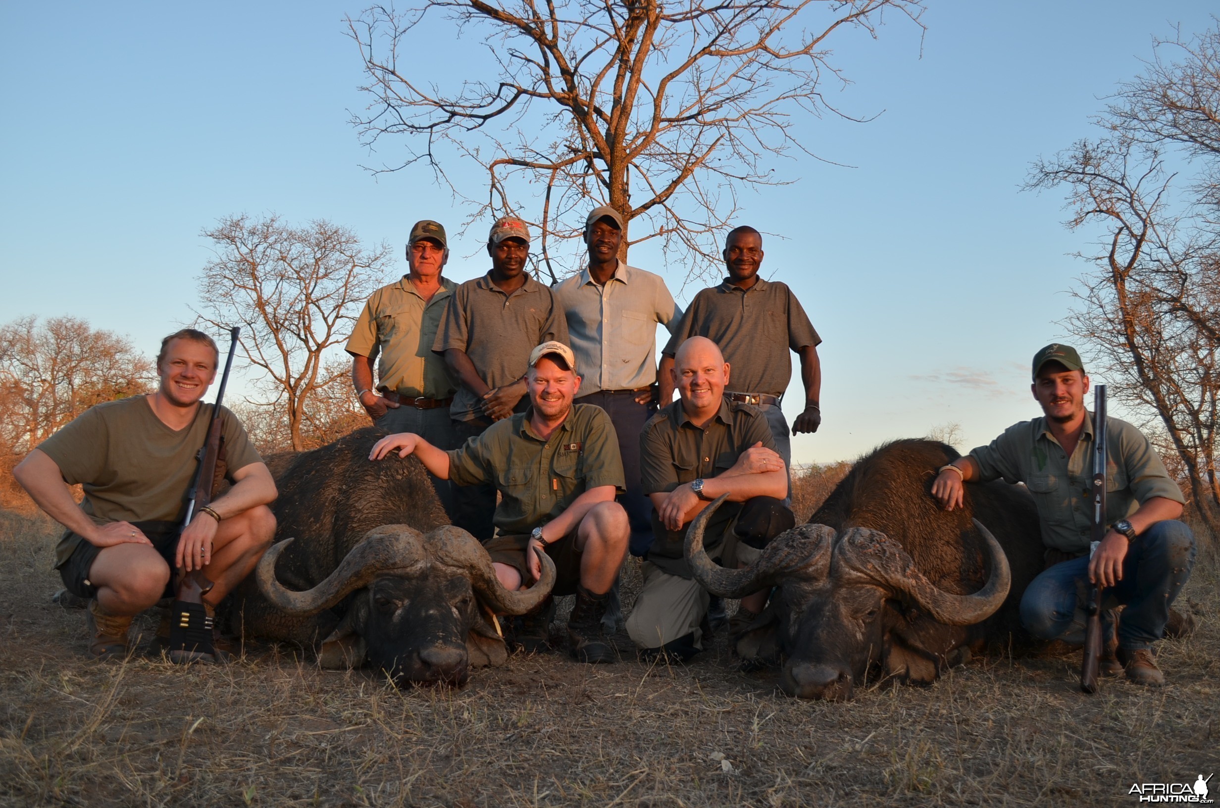 Buffalo KMG Hunting Safaris