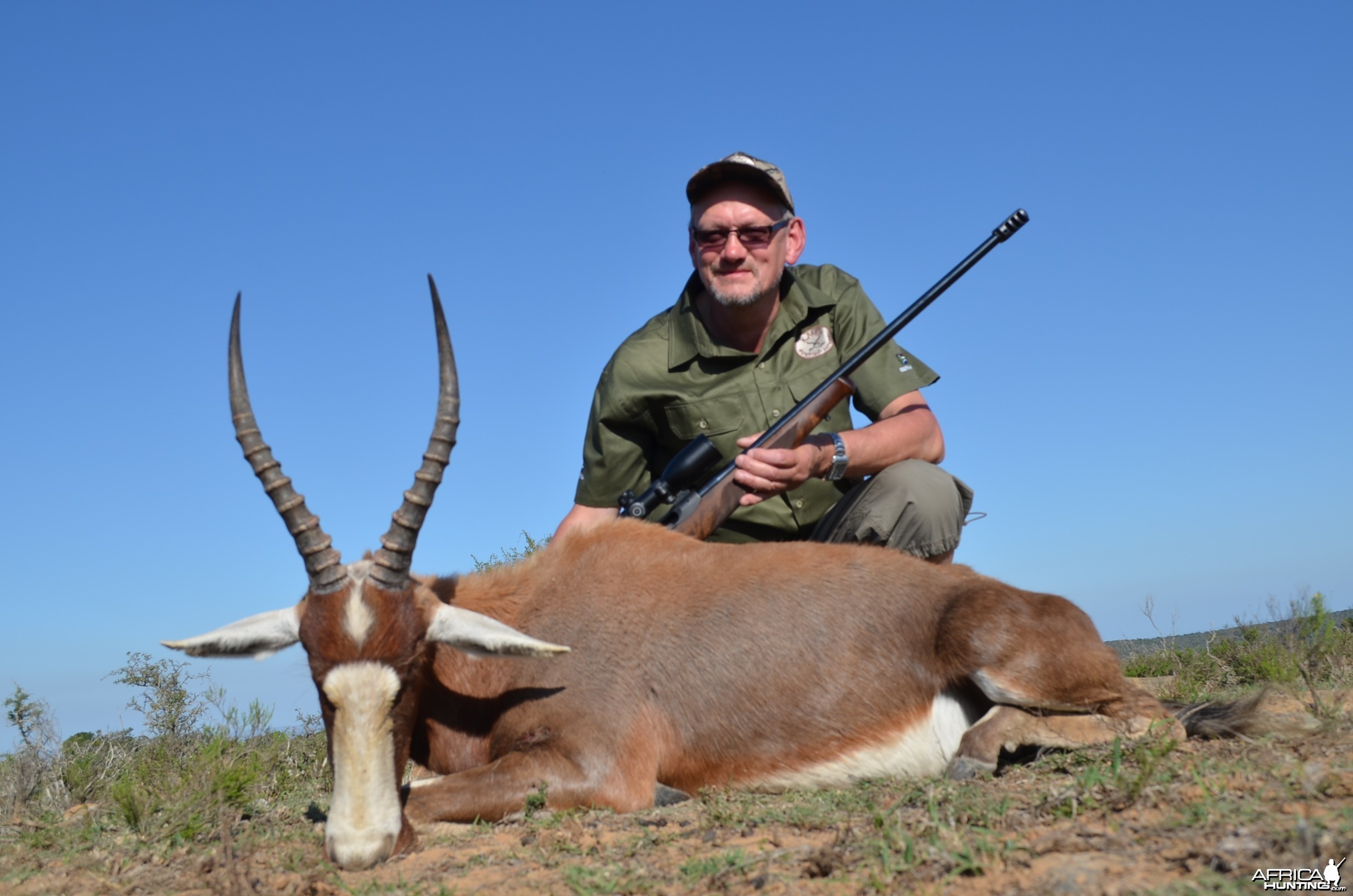 Blesbok KMG Hunting Safaris