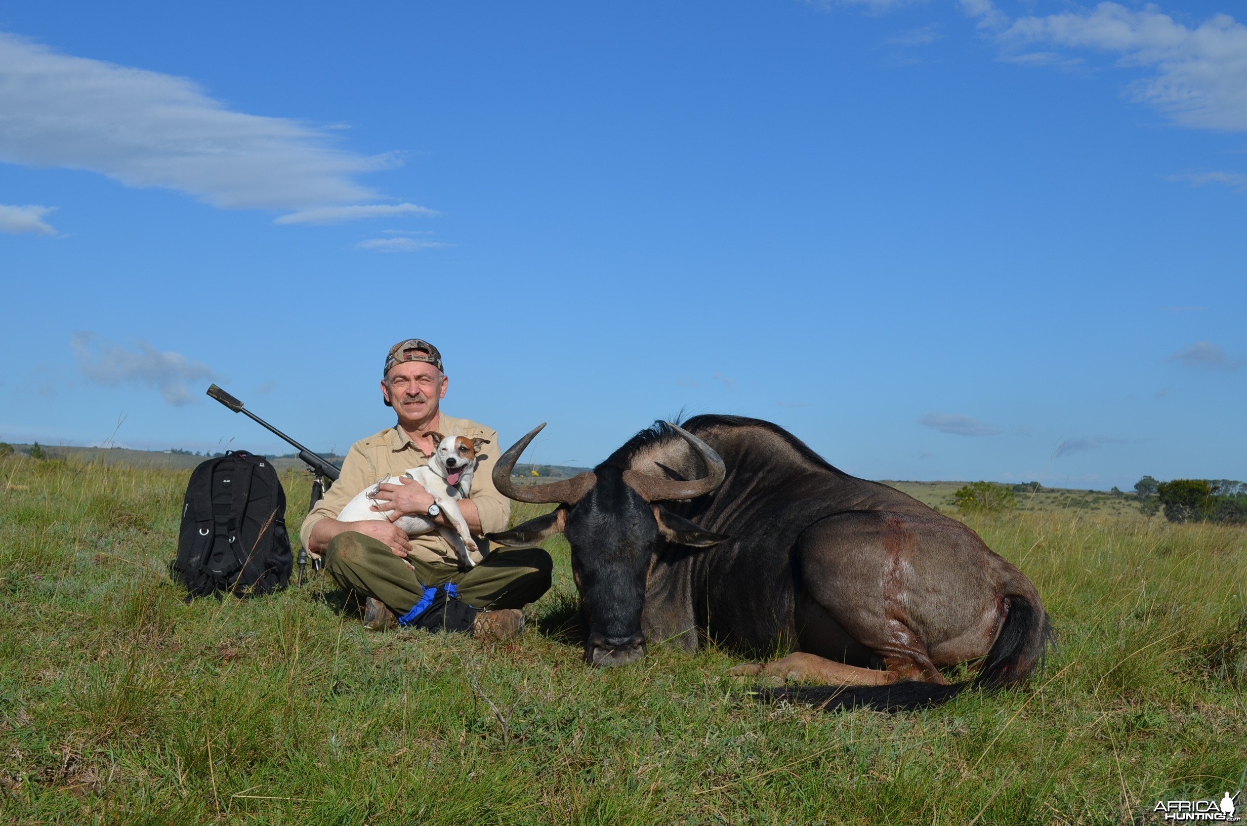 Blue Wildebeest KMG Hunting Safaris