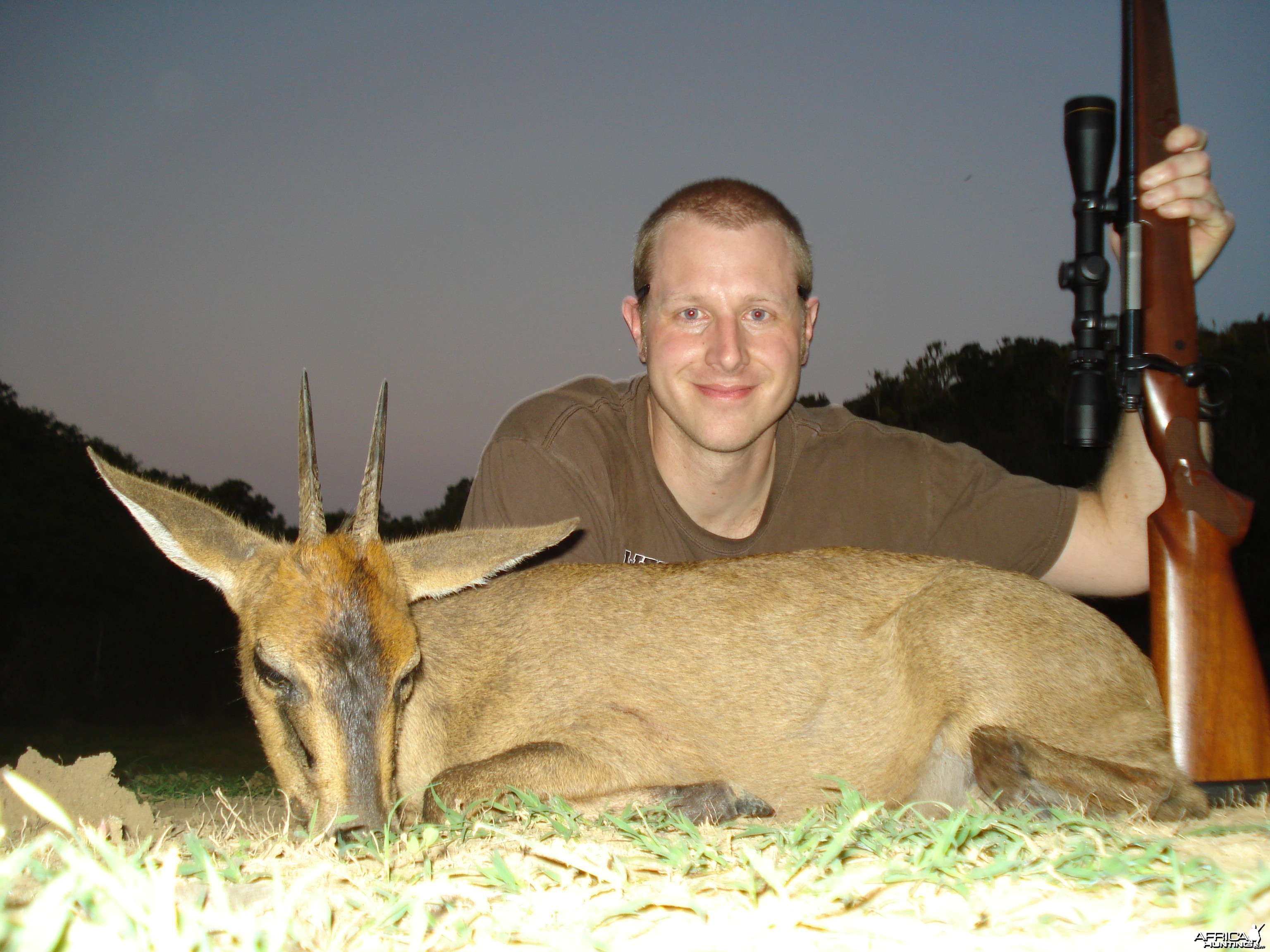 Duiker KMG Hunting Safaris