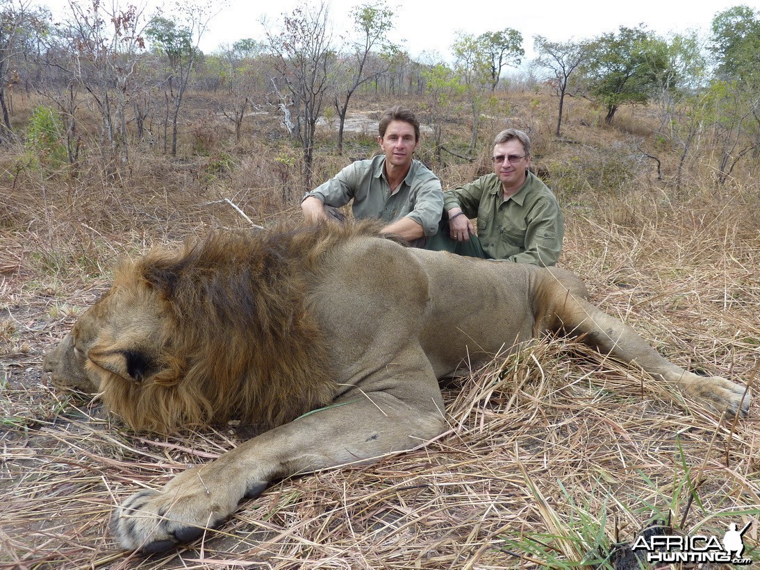 Lion Hunted in Tanzania Selous