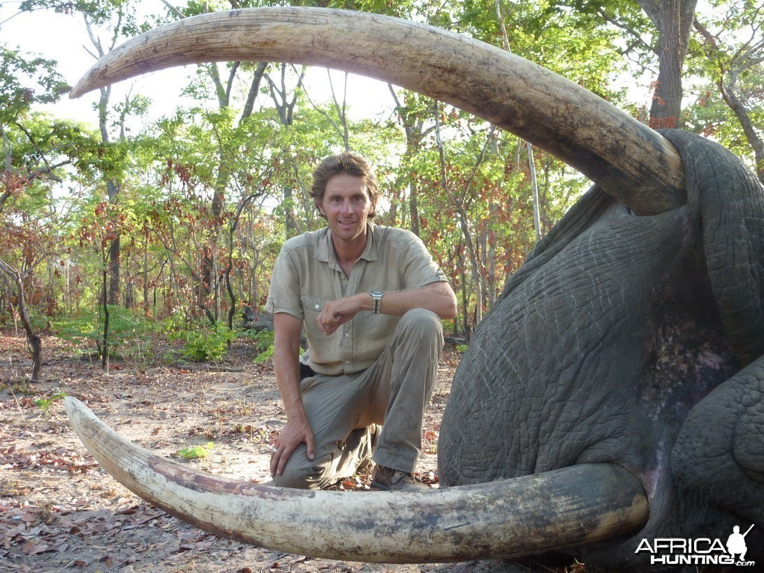 Hunting Elephant Selous Tanzania