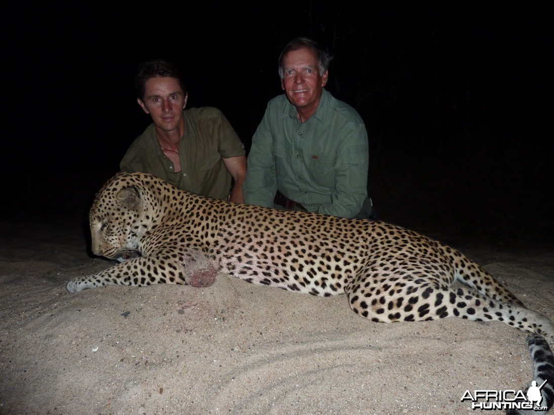 Leopard Hunting Selous Tanzania