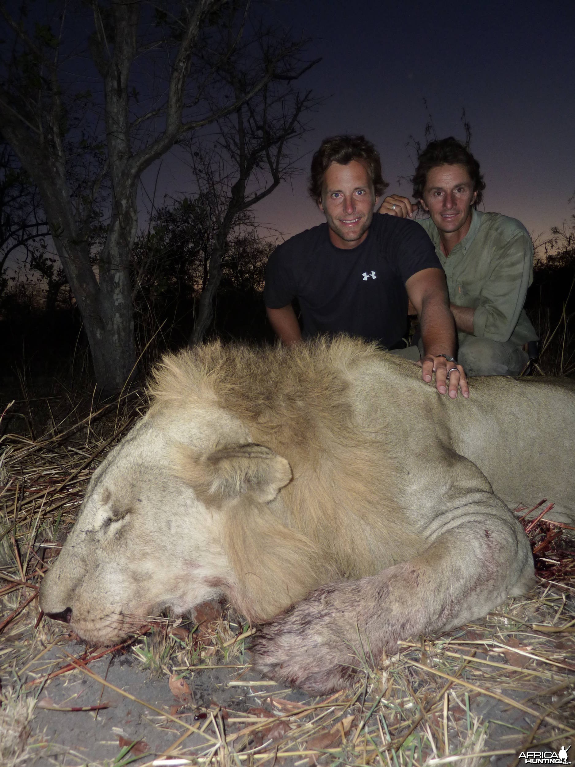 Hunting Lion Selous Tanzania
